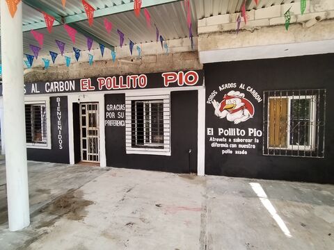 Pollito pio image 4