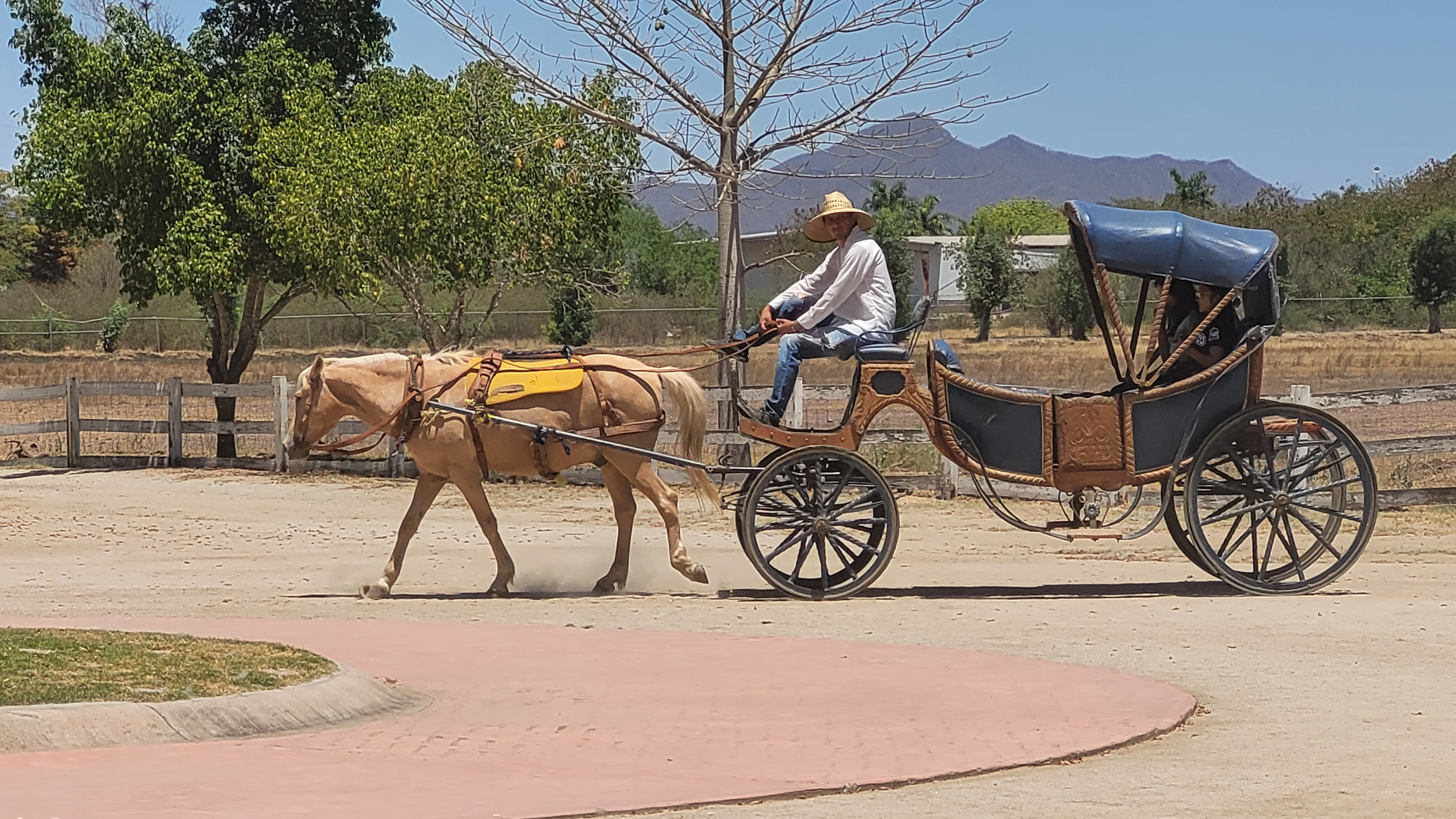 Campo Santa Refugio image 3