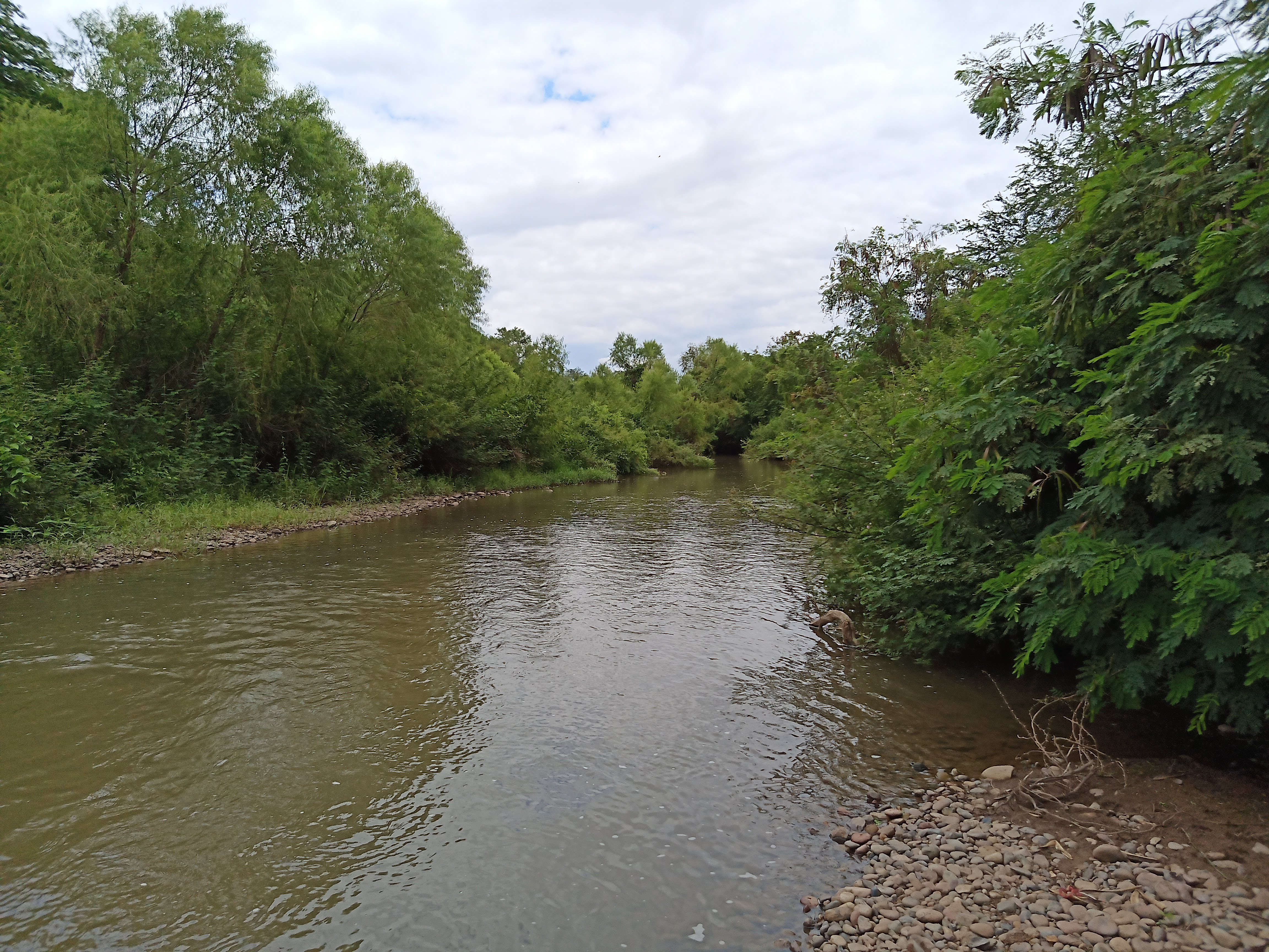 Restaurant Campestre "Colhúa" image 7