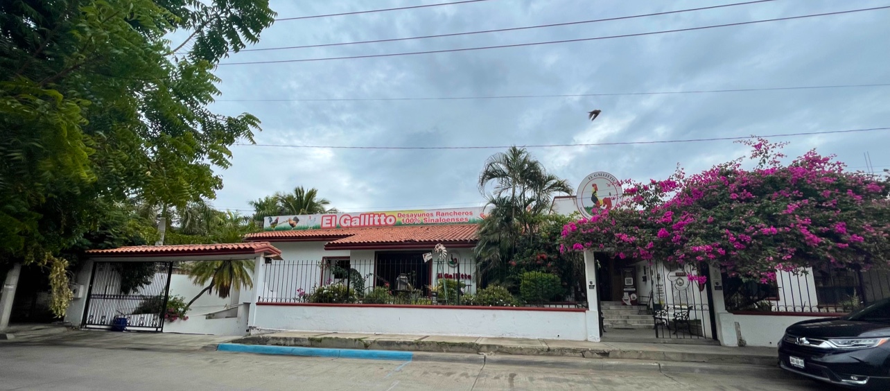 El Gallito image 9