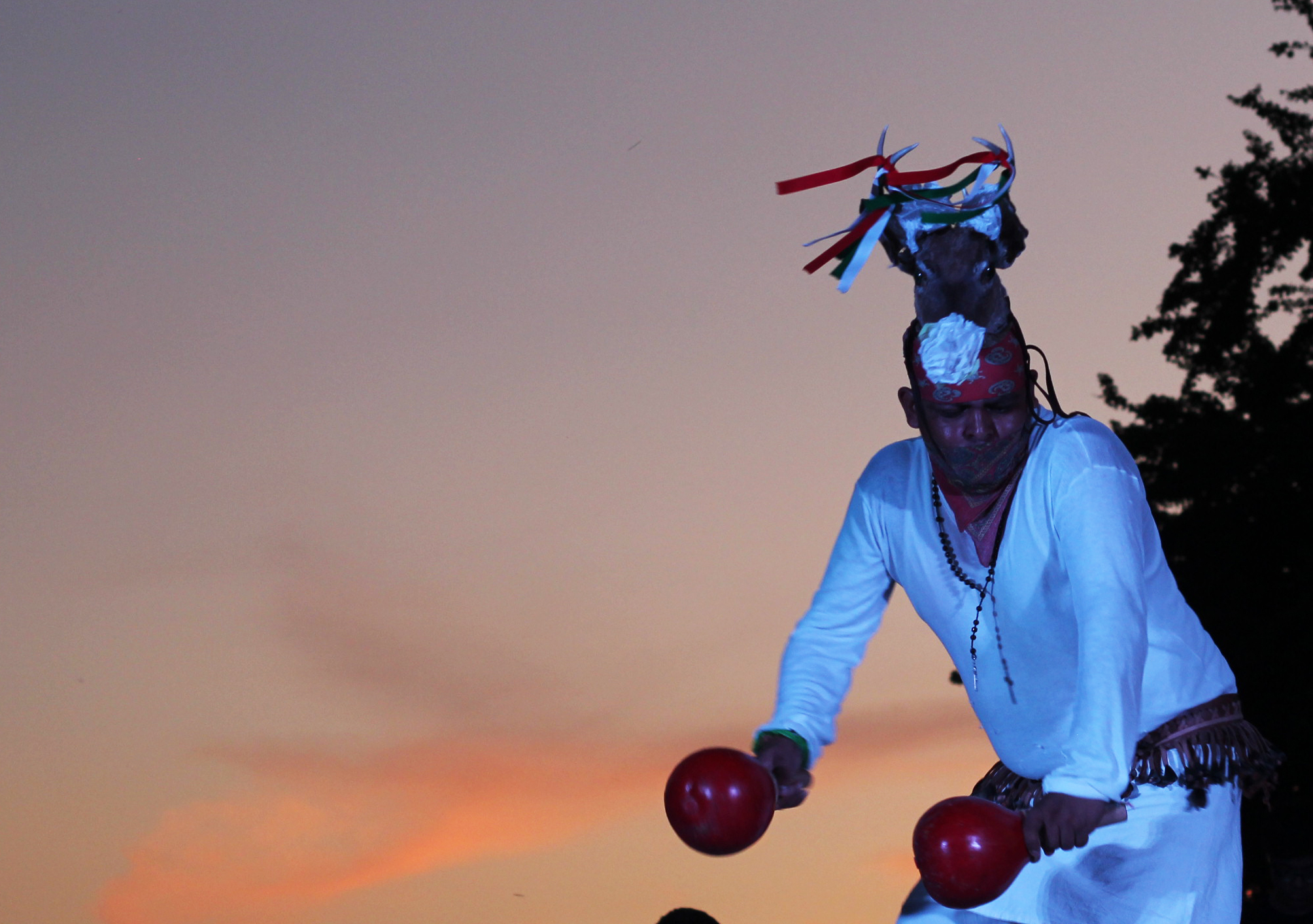 Restaurant Regional PASCOLA image 4