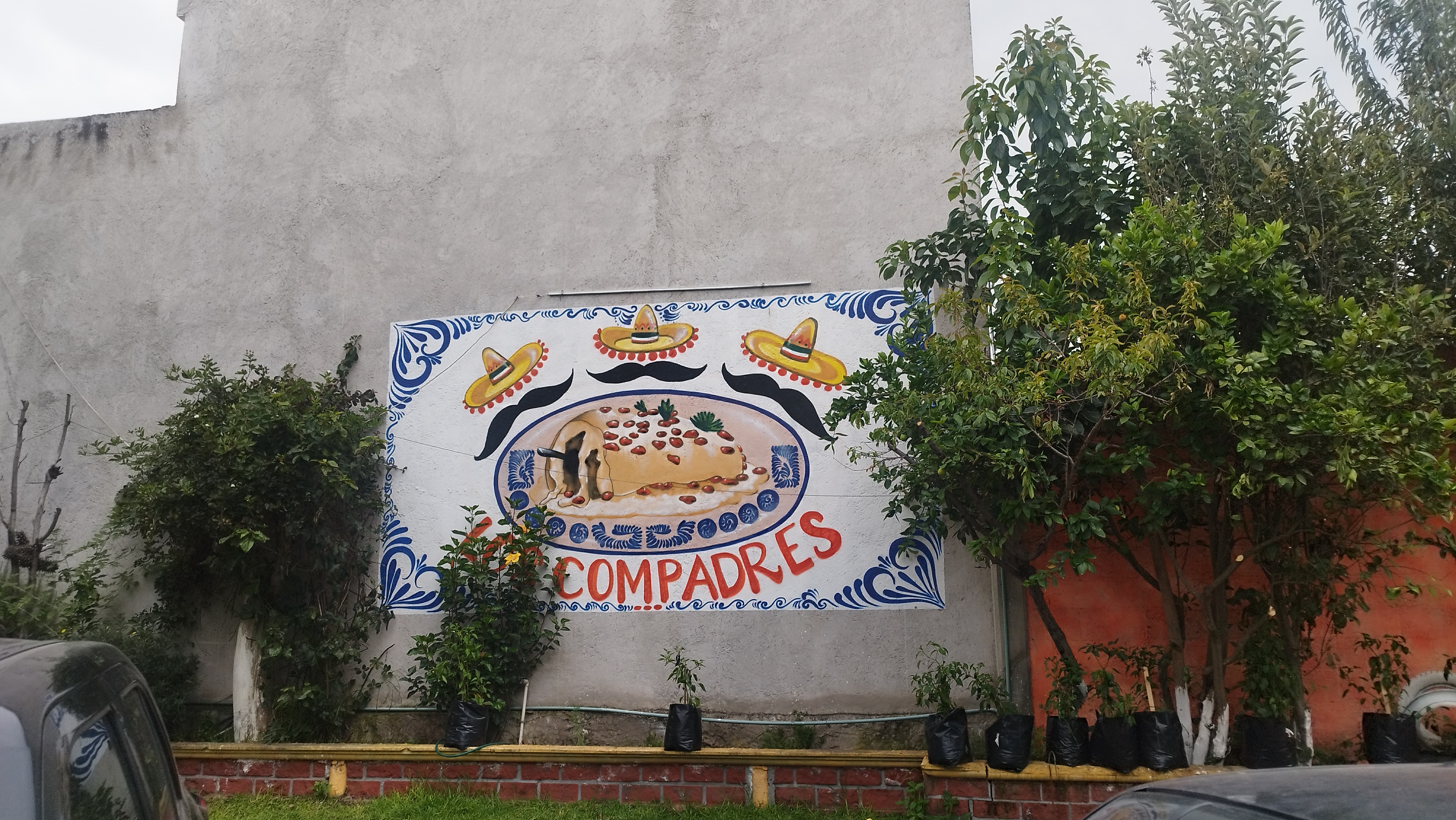 Chiles En Nogada Los Compadree image 6