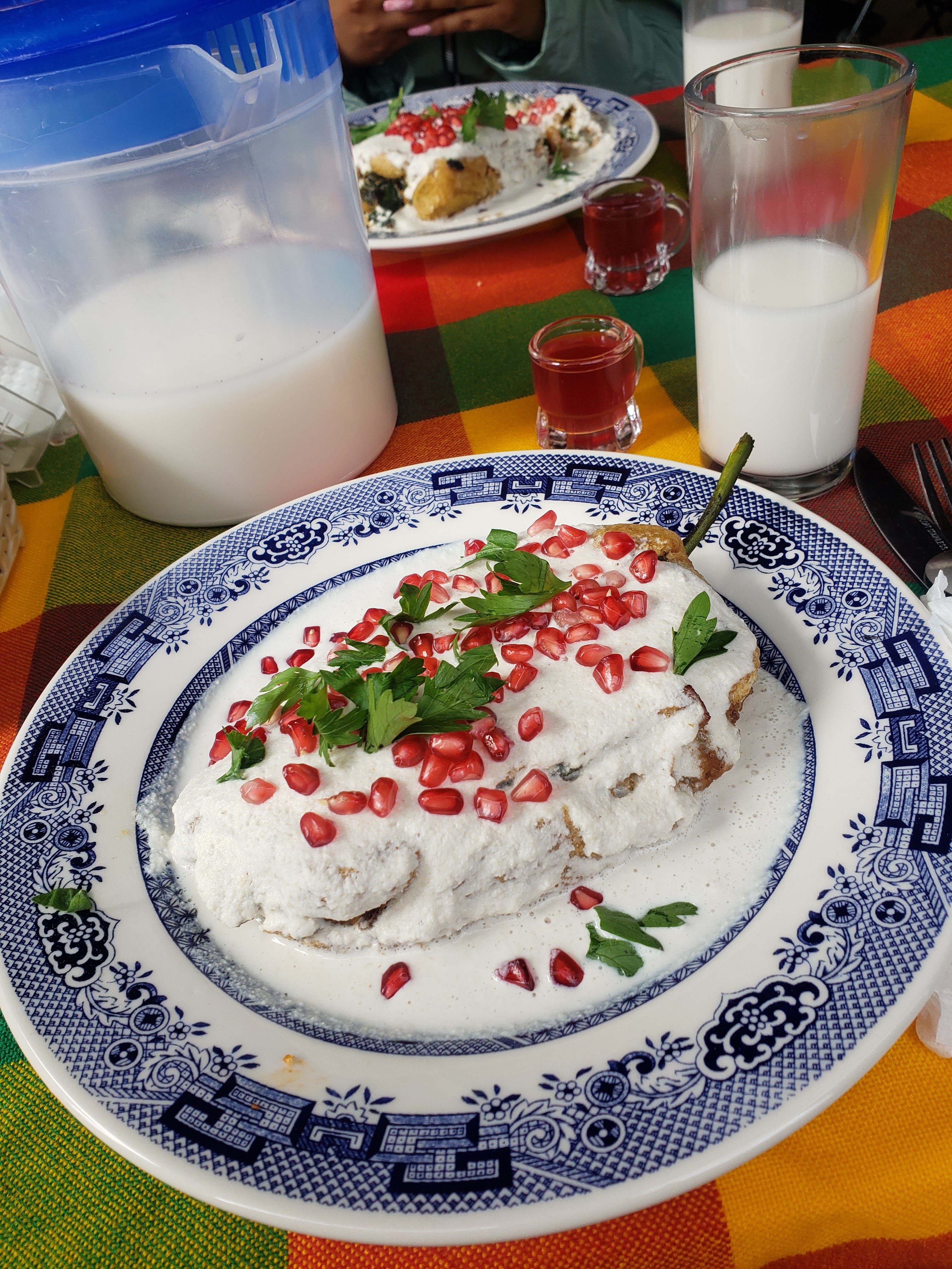 Chiles en Nogada La Palapa Calpan image 3