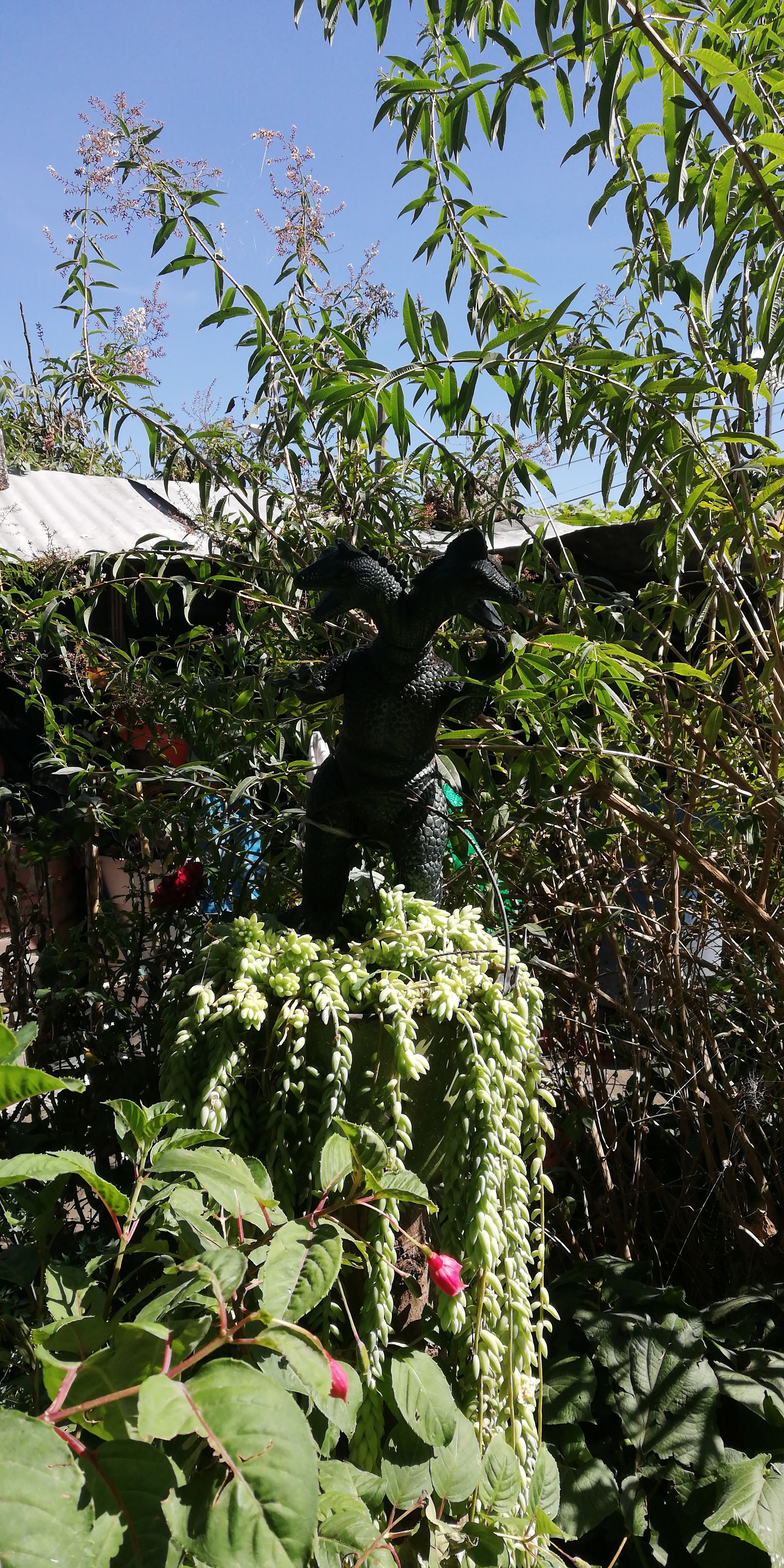 Sazon De Mami image 7