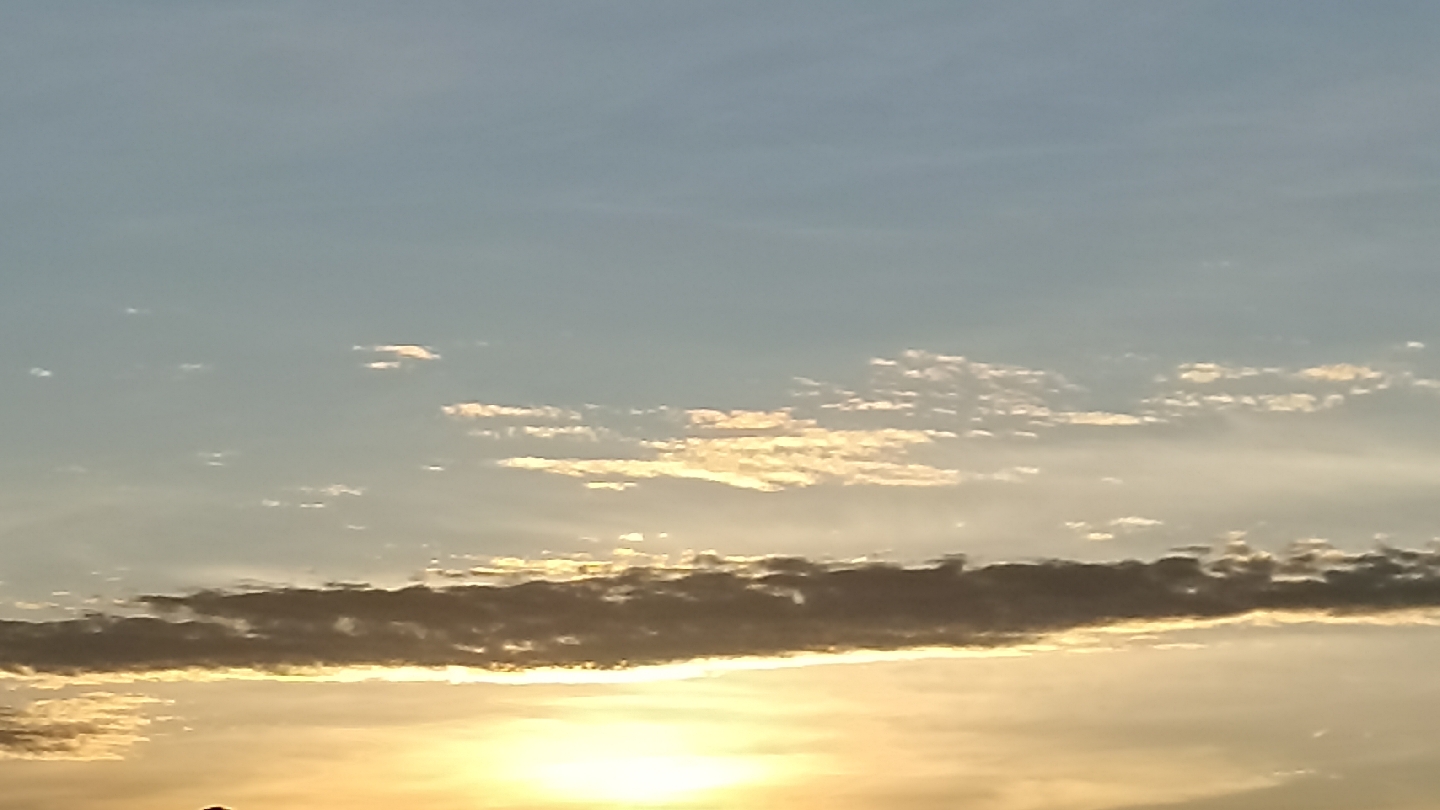 Chiles en Nogada Grandma's Addiction image 4