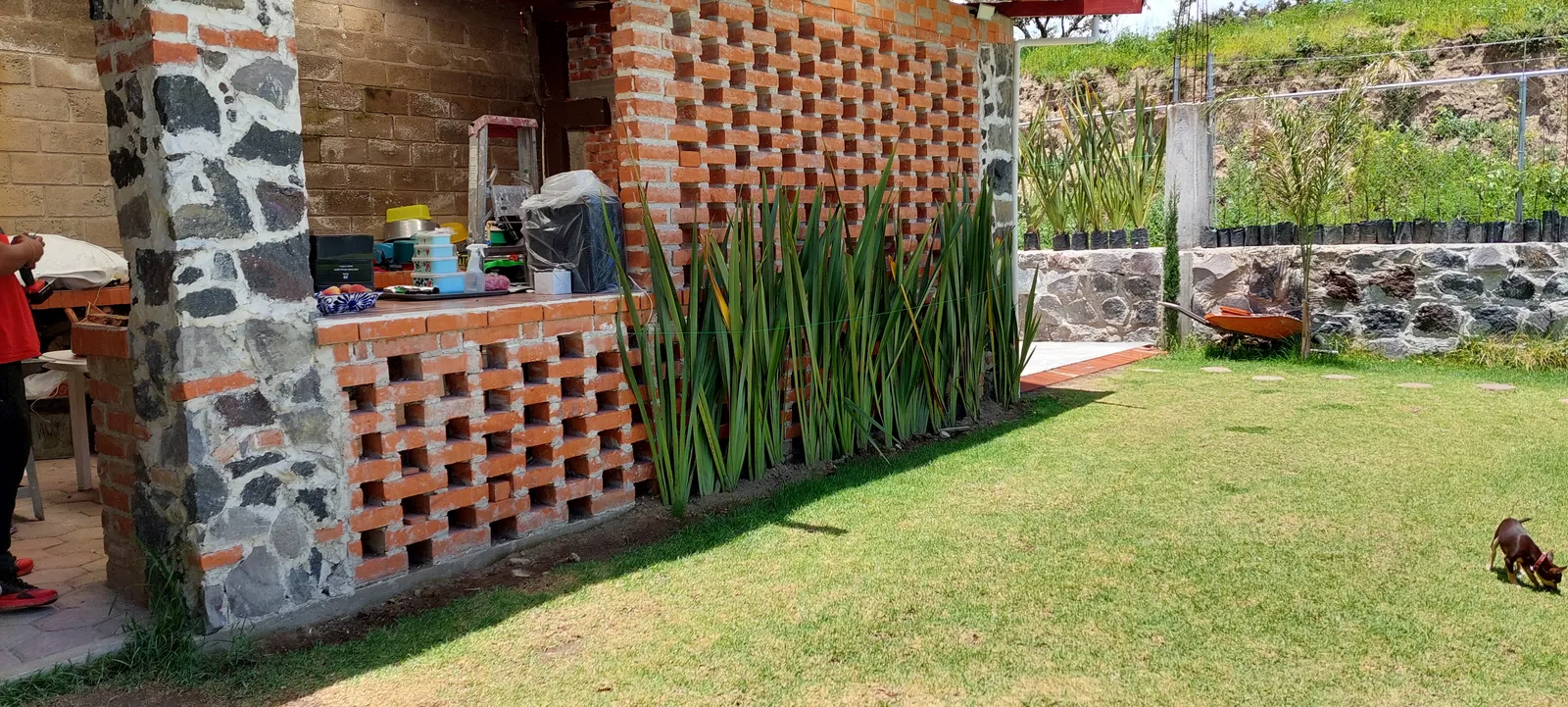 Jardín La Tradición image 3