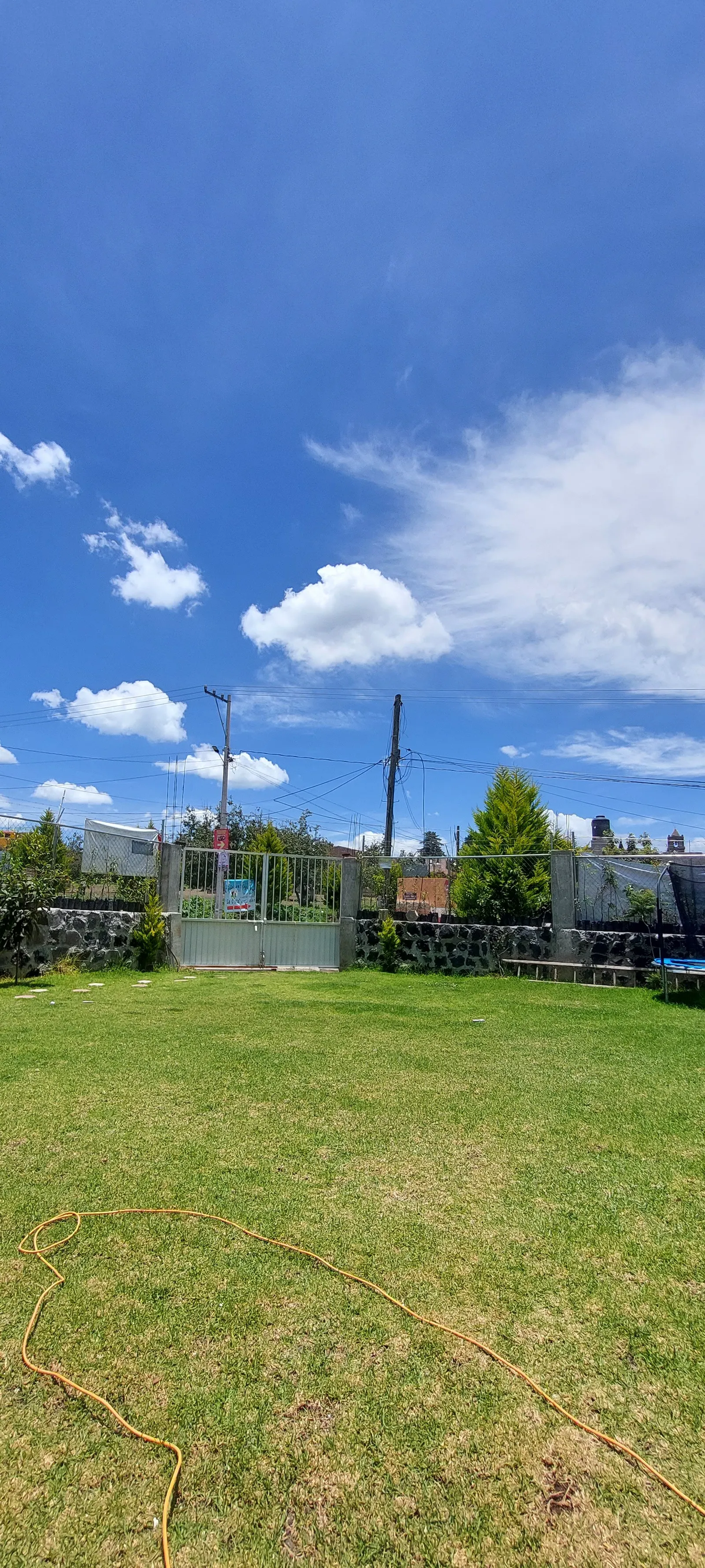 Jardín La Tradición image 7