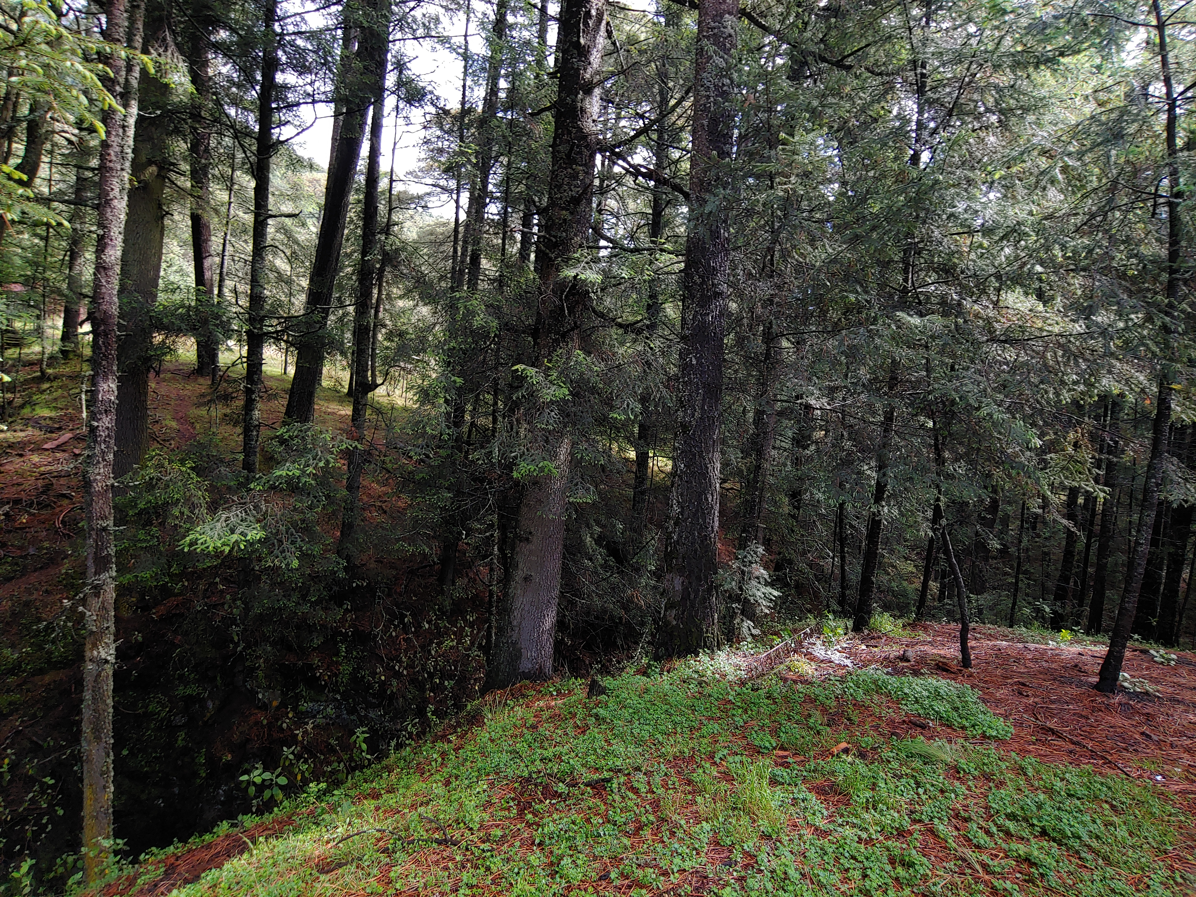 Restaurant "El Monte Popocatépetl" image 3