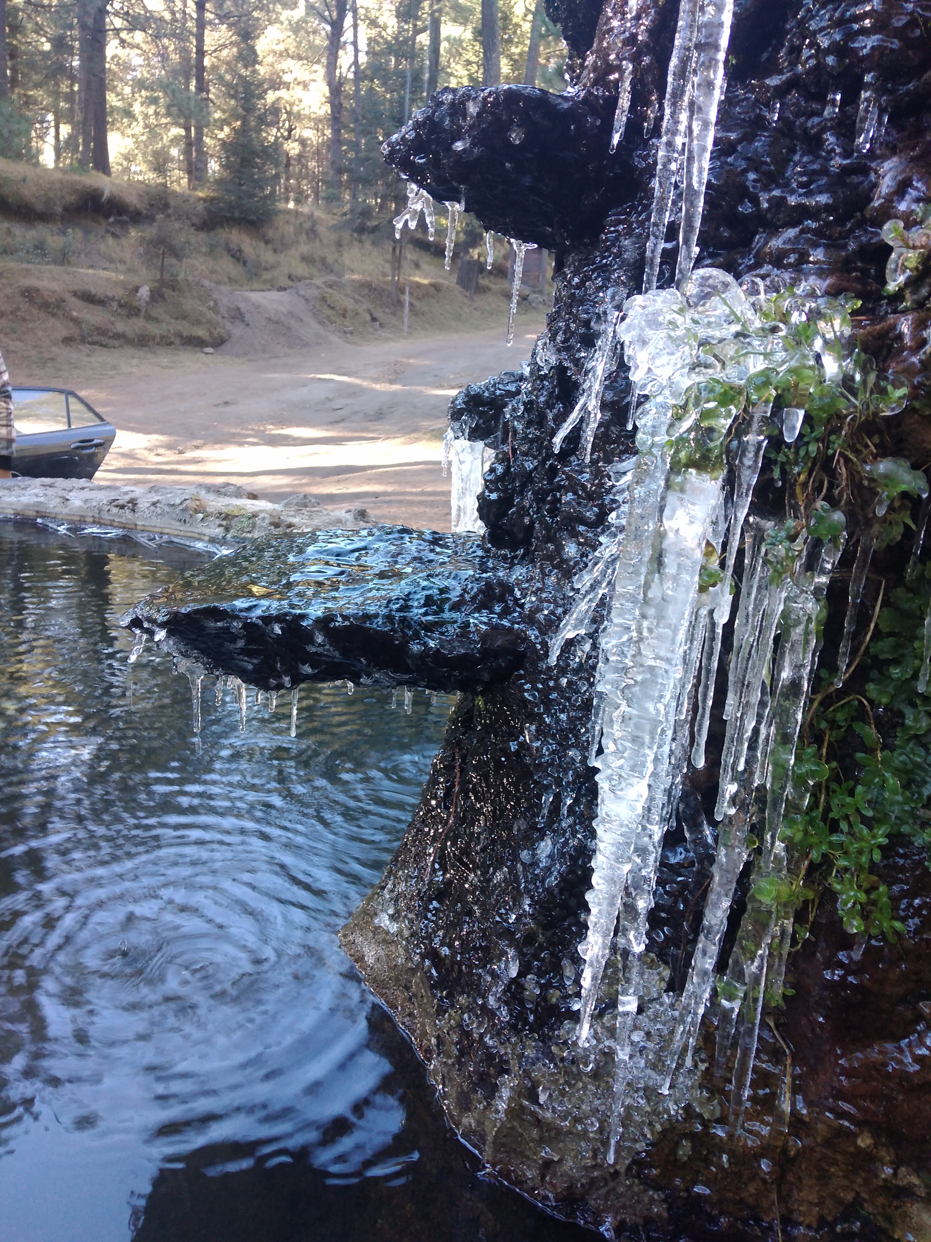 Restaurant "El Monte Popocatépetl" image 5