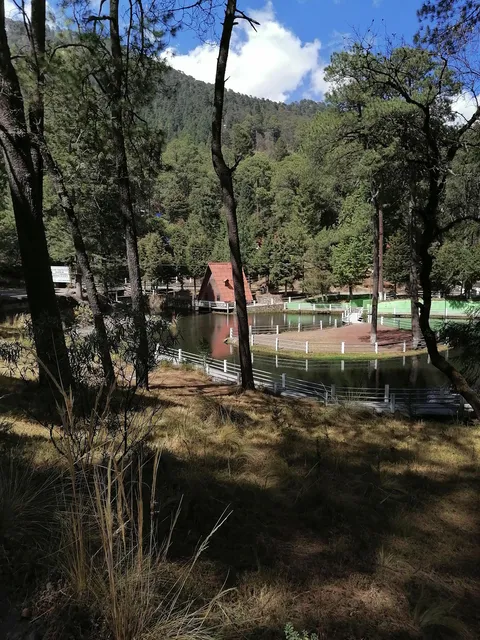 Restaurant "El Monte Popocatépetl" image 6