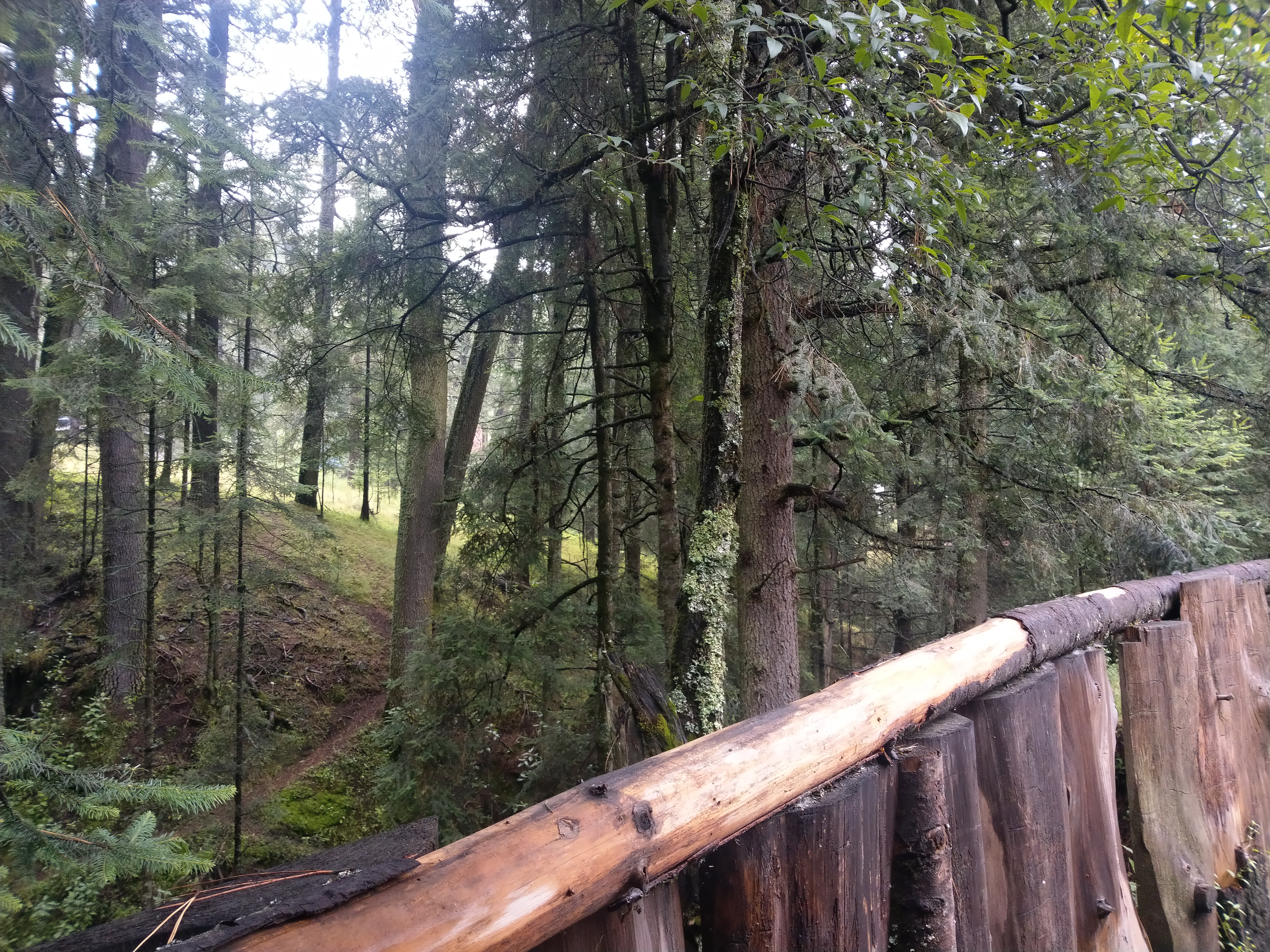 Restaurant "El Monte Popocatépetl" image 8