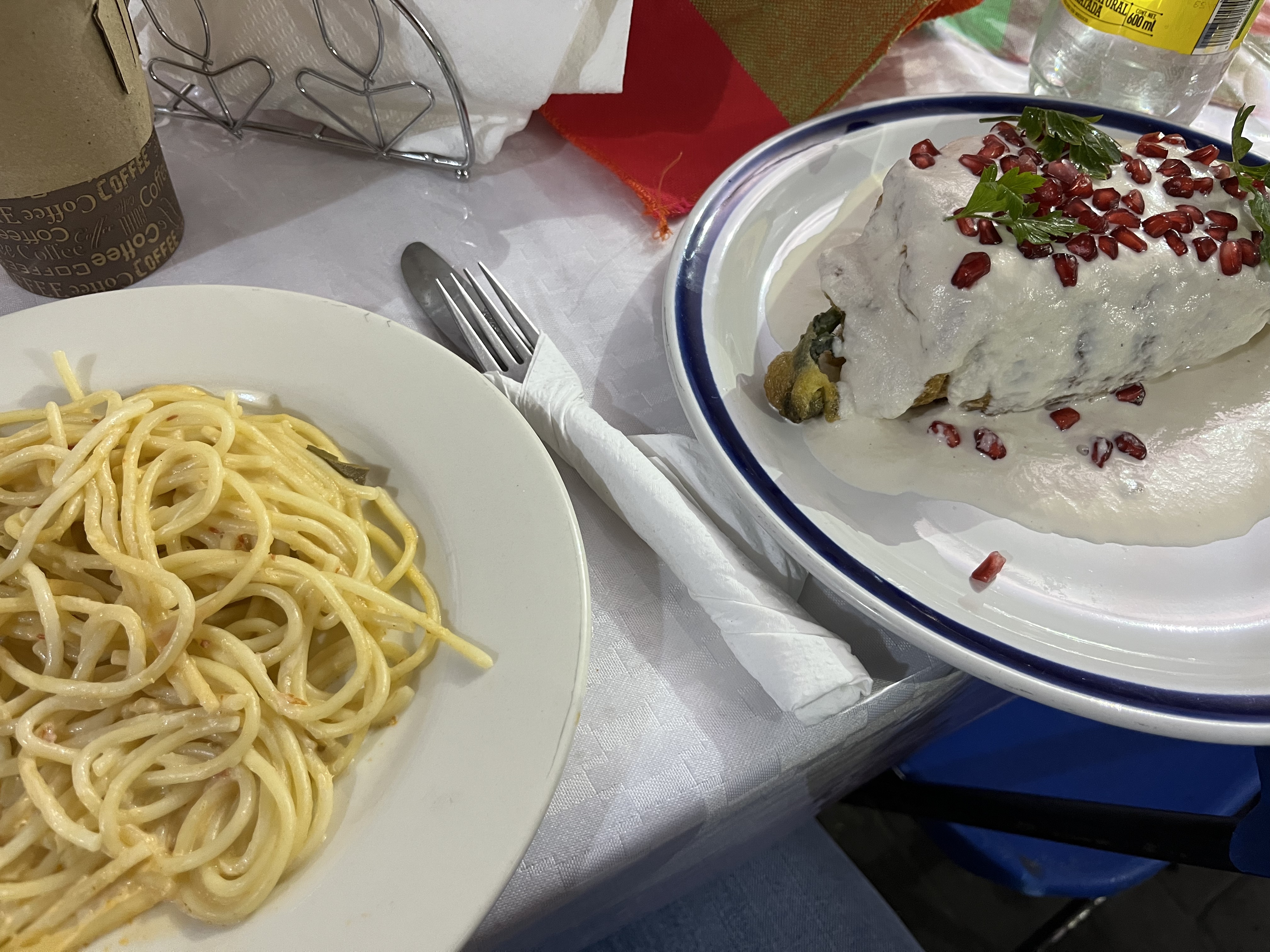 Chiles en Nogada Doña Vita image 4