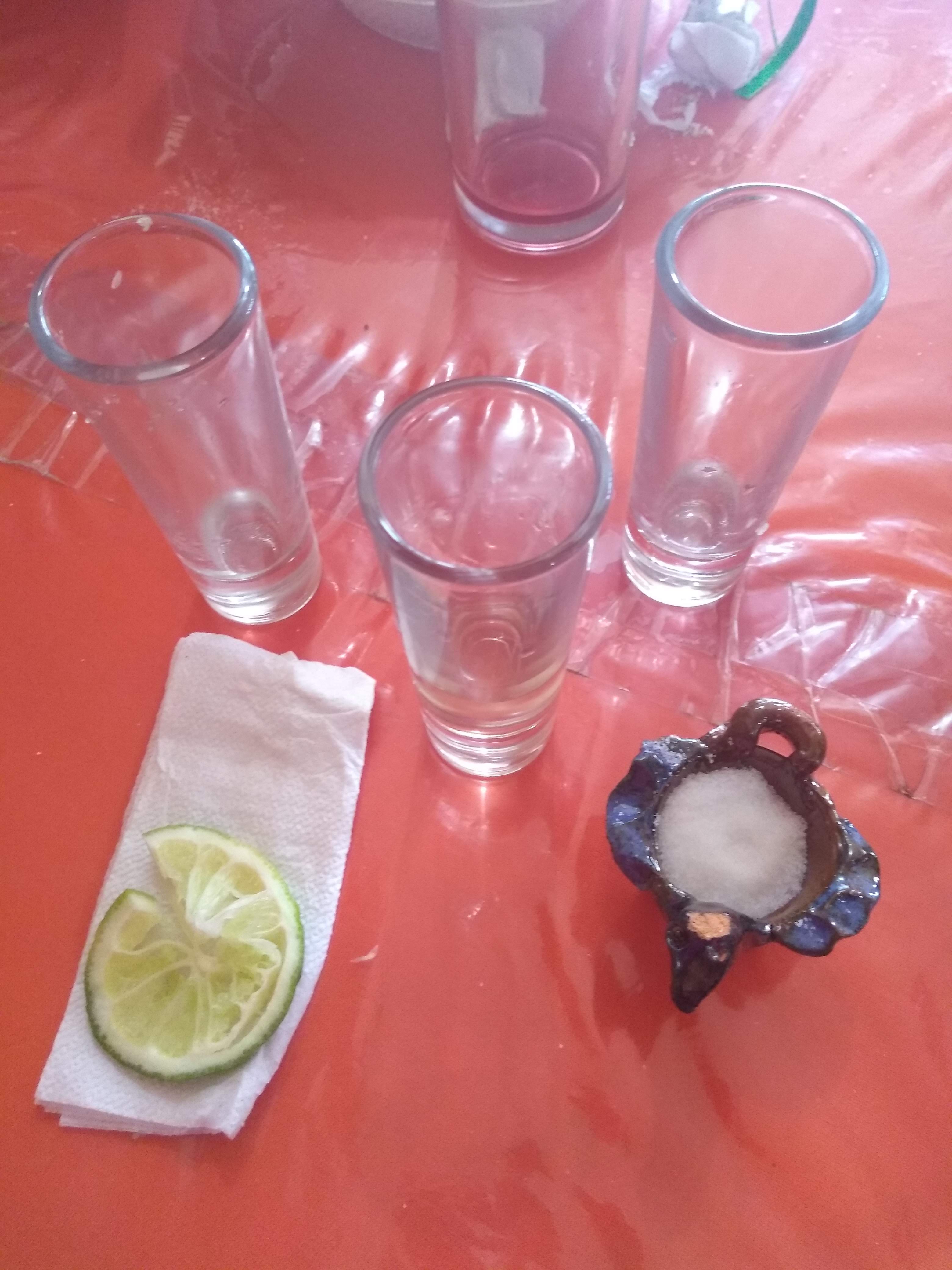 Chiles en Nogada Doña Faby image 6