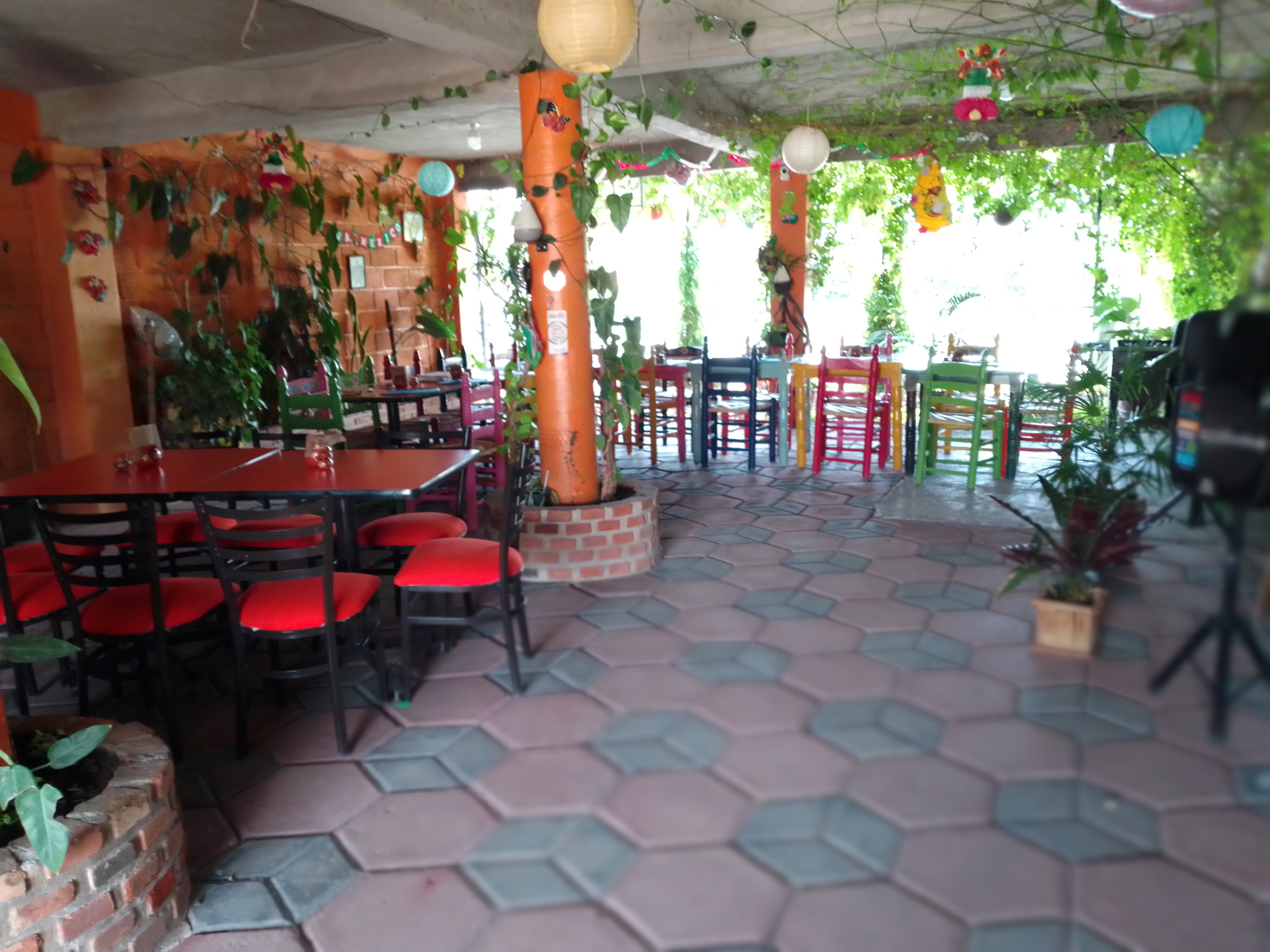 SALABACE image 4