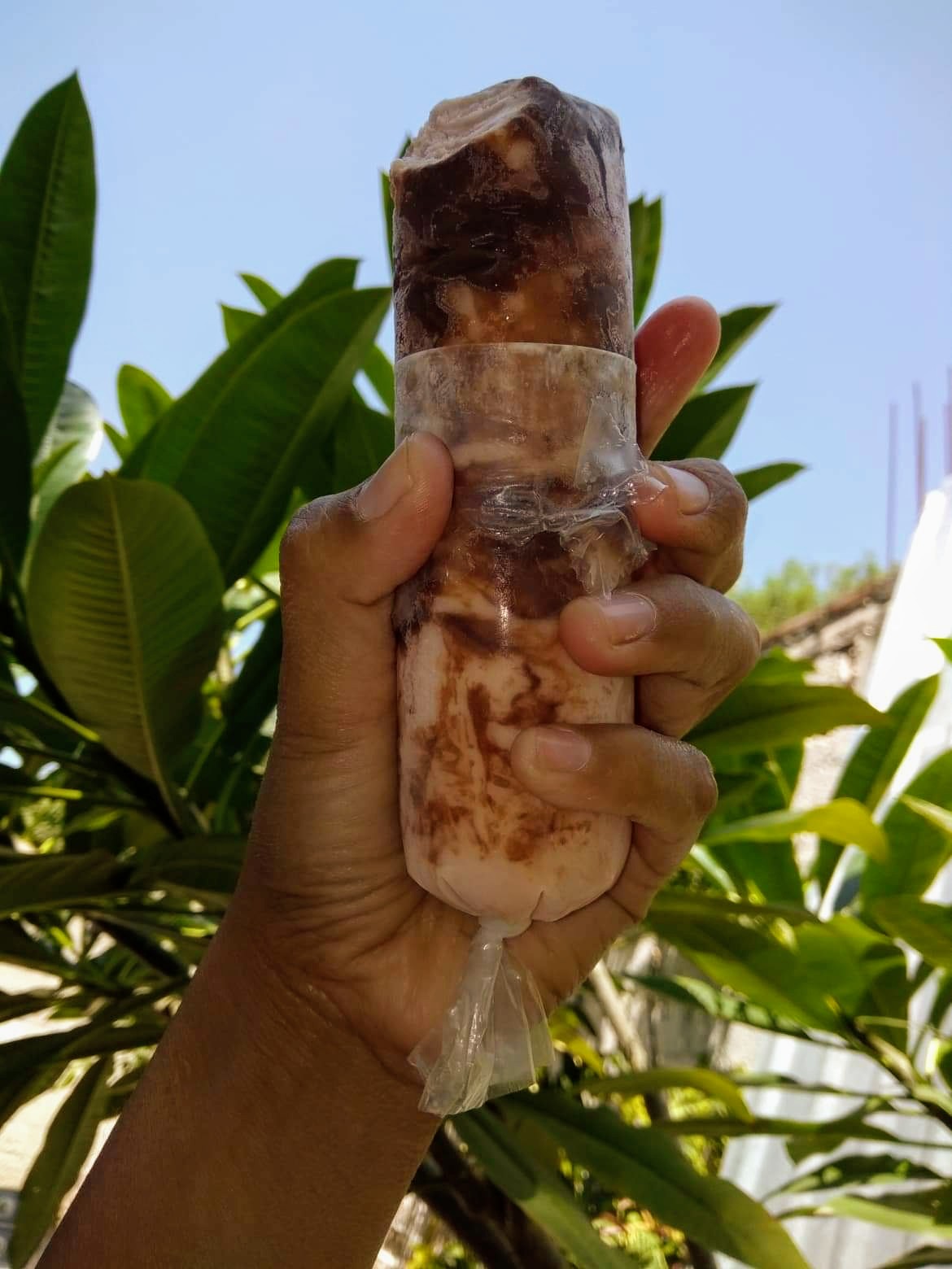 Bolis Guasito image 4