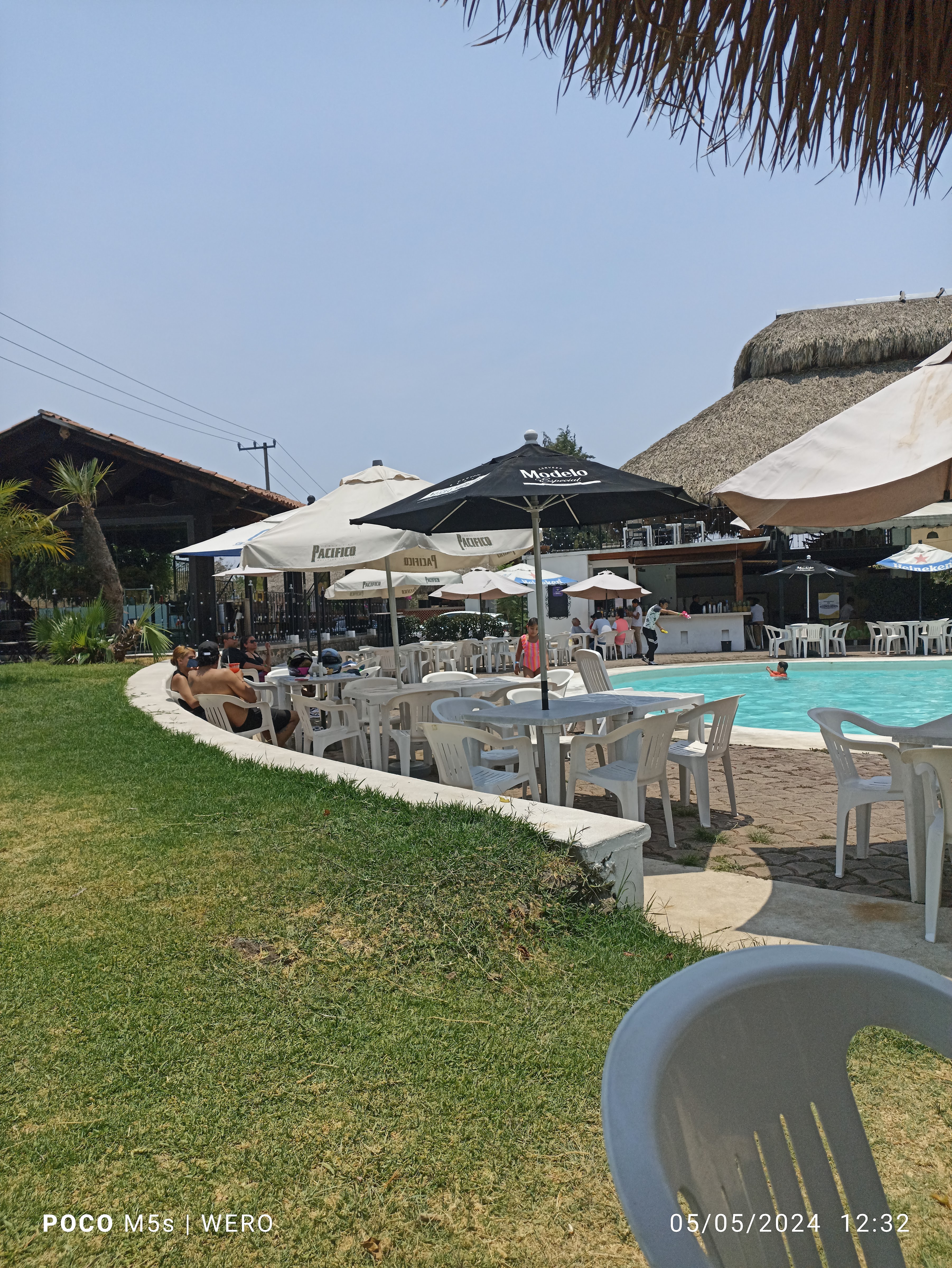 Los Cocos Rumberos image 5