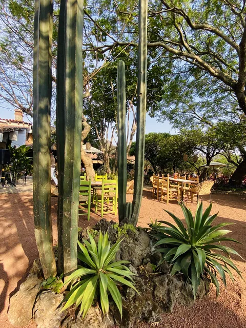 Rancho Seco image 5