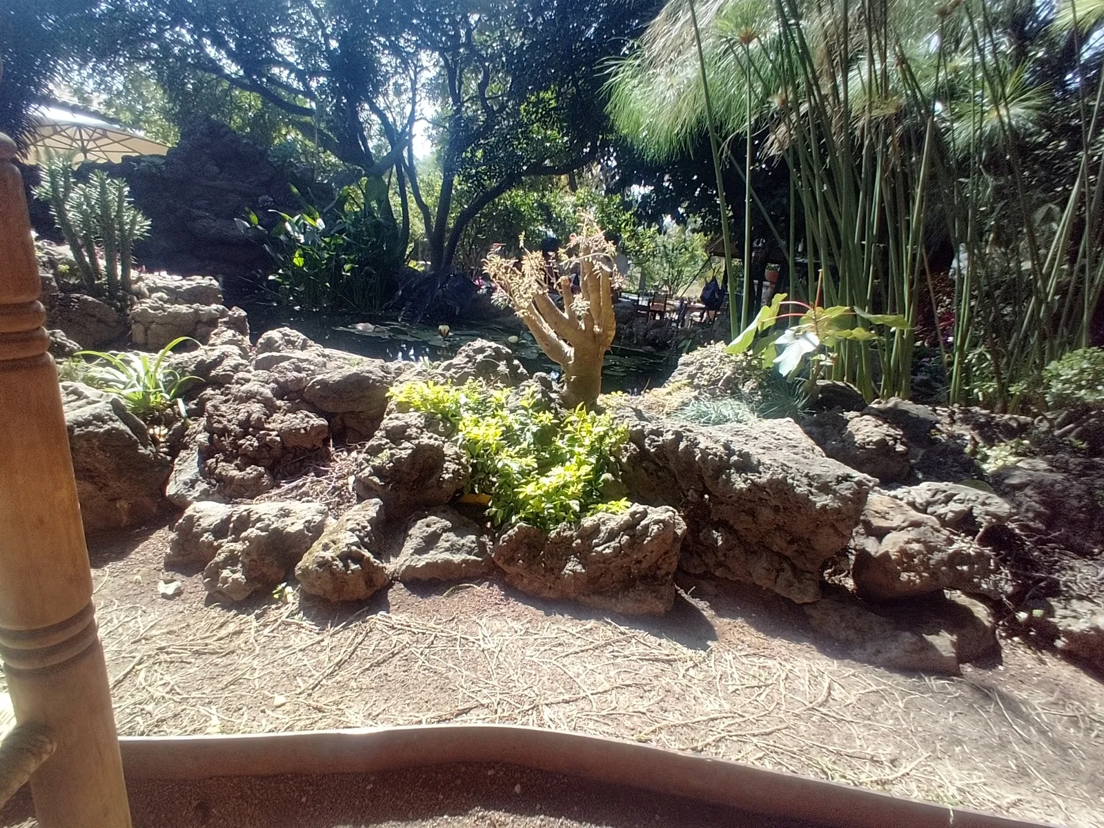 Rancho Seco image 10