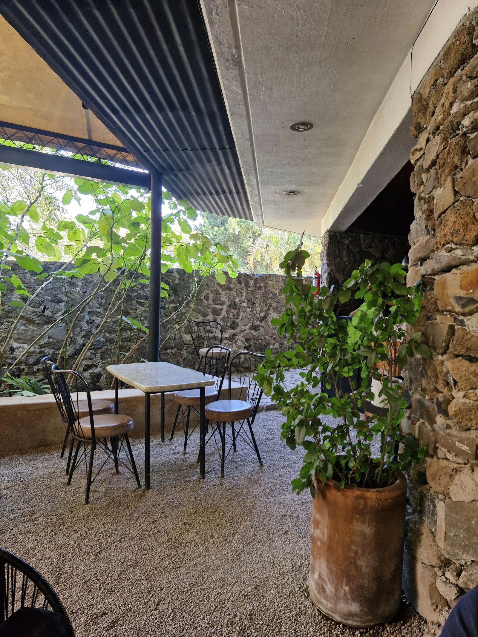 Buenviaje Cocina & Amigos image 7