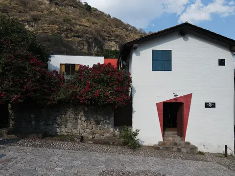 Jengibre image 3