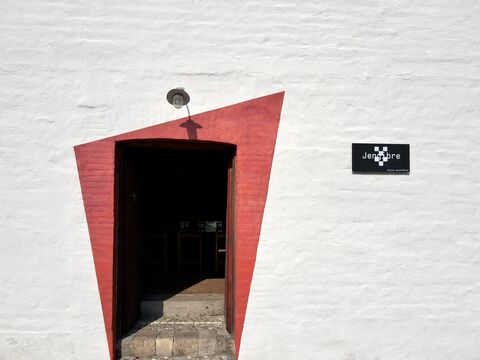 Jengibre image 6