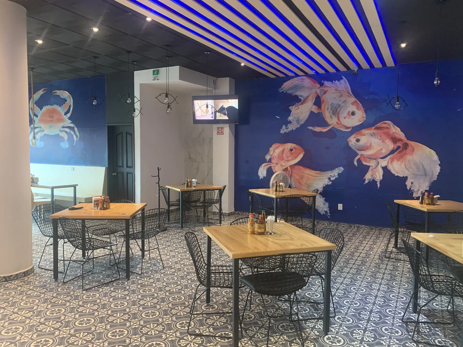 Oceana image 9