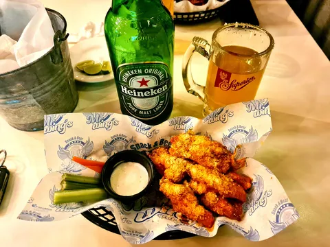 Mr. Wings image 3