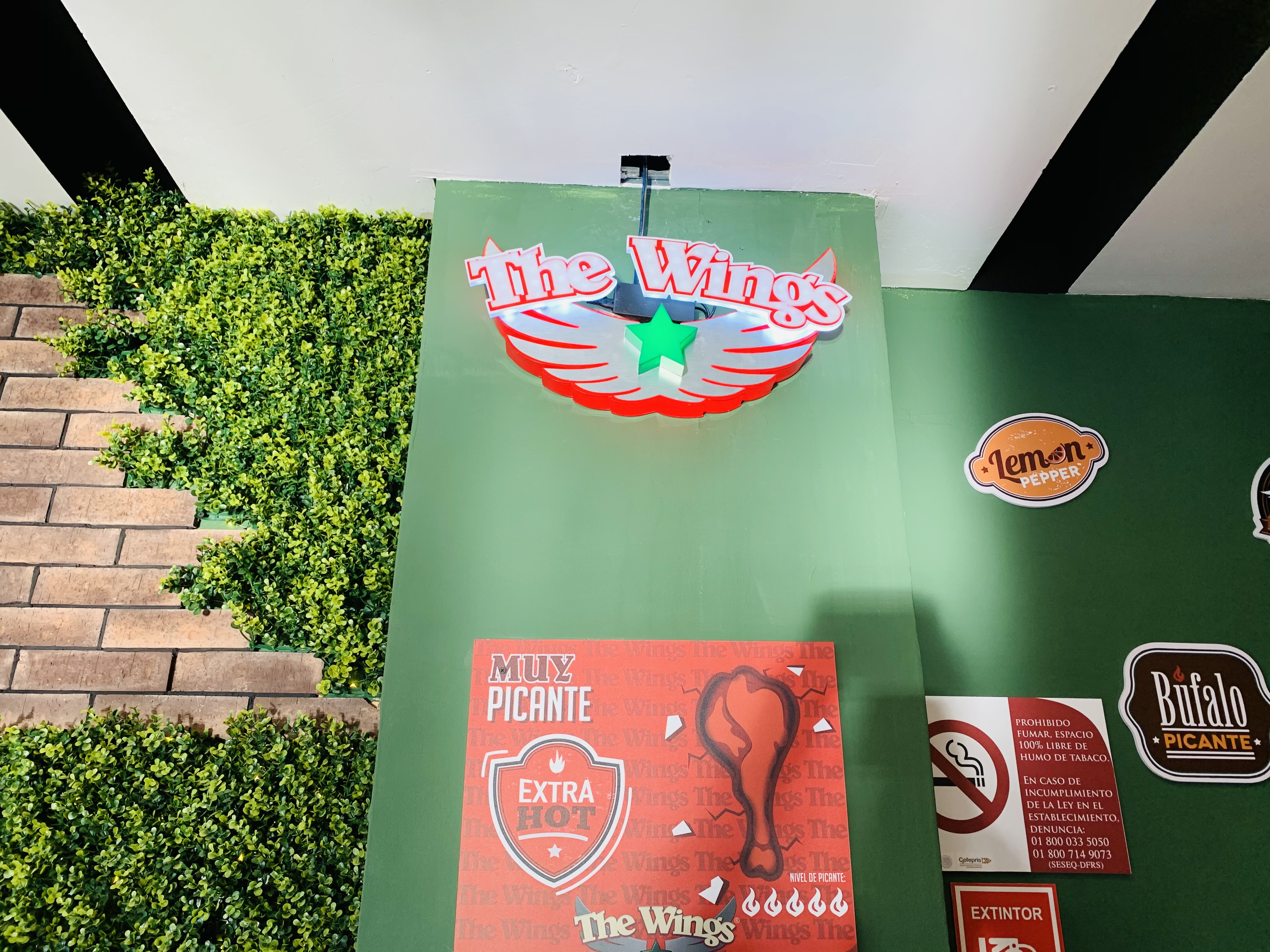 The Wings Atlacomulco image 8