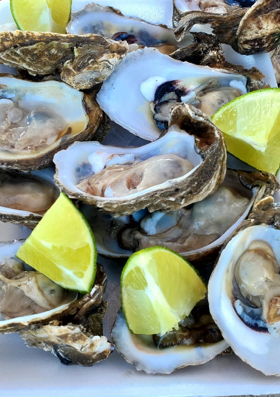 Mariscos el Mazatleco image 3