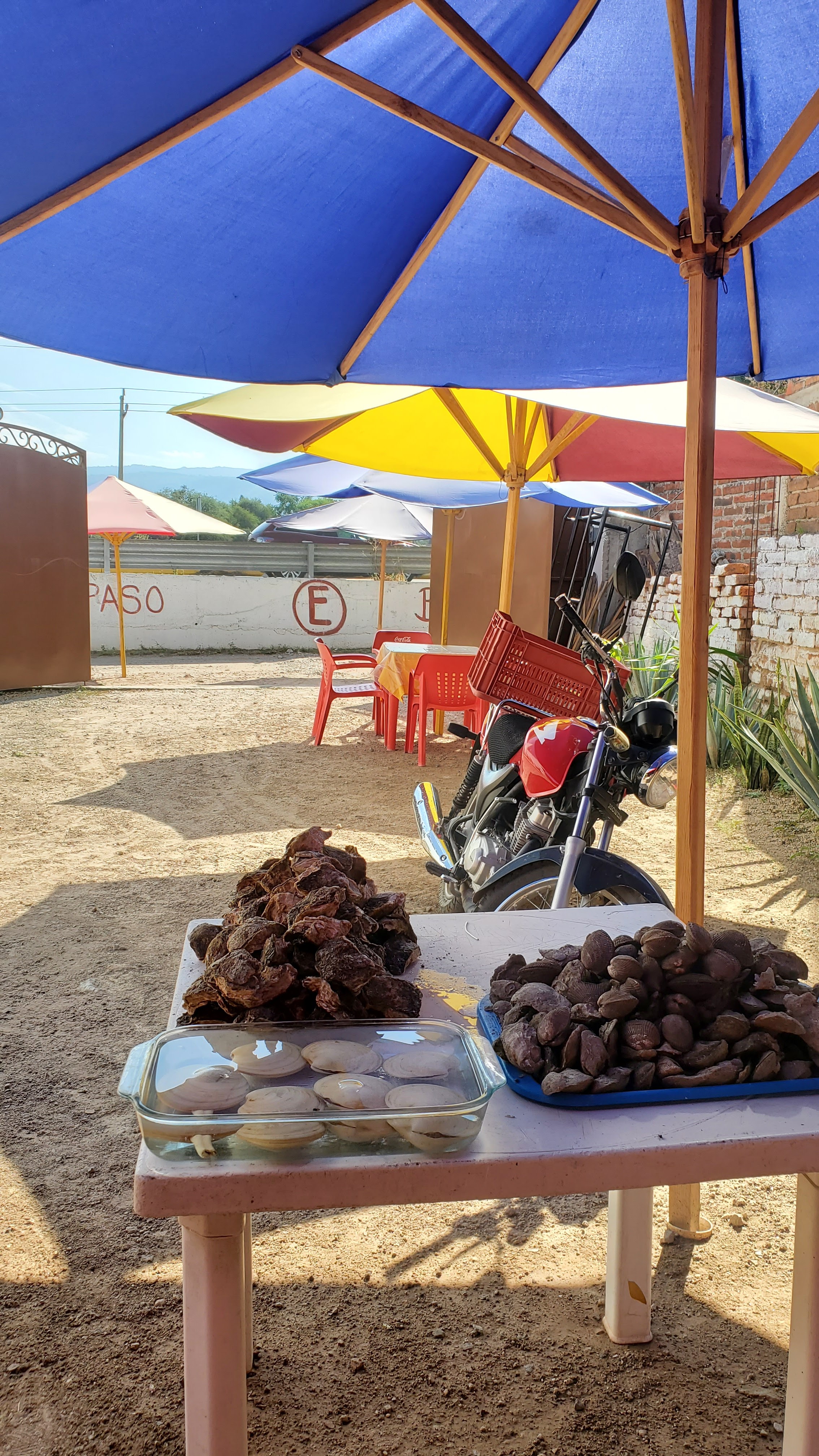 Mariscos el Mazatleco image 8