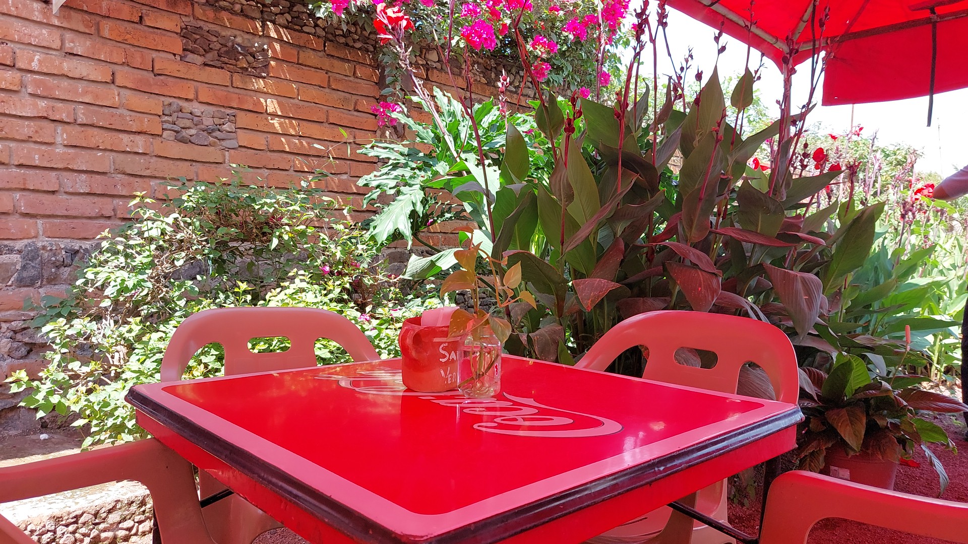 Salsa verde comida casera image 6