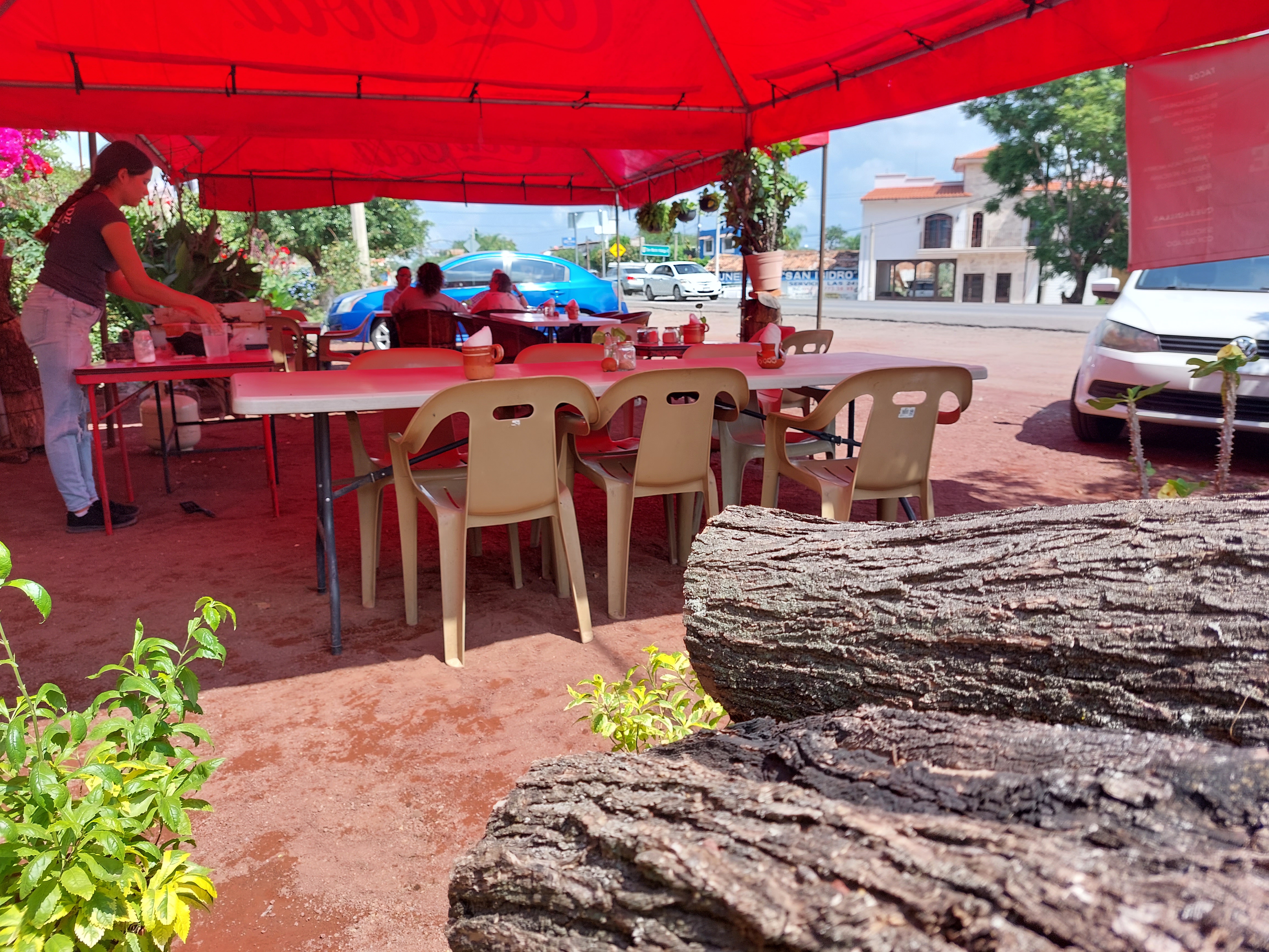 Salsa verde comida casera image 9