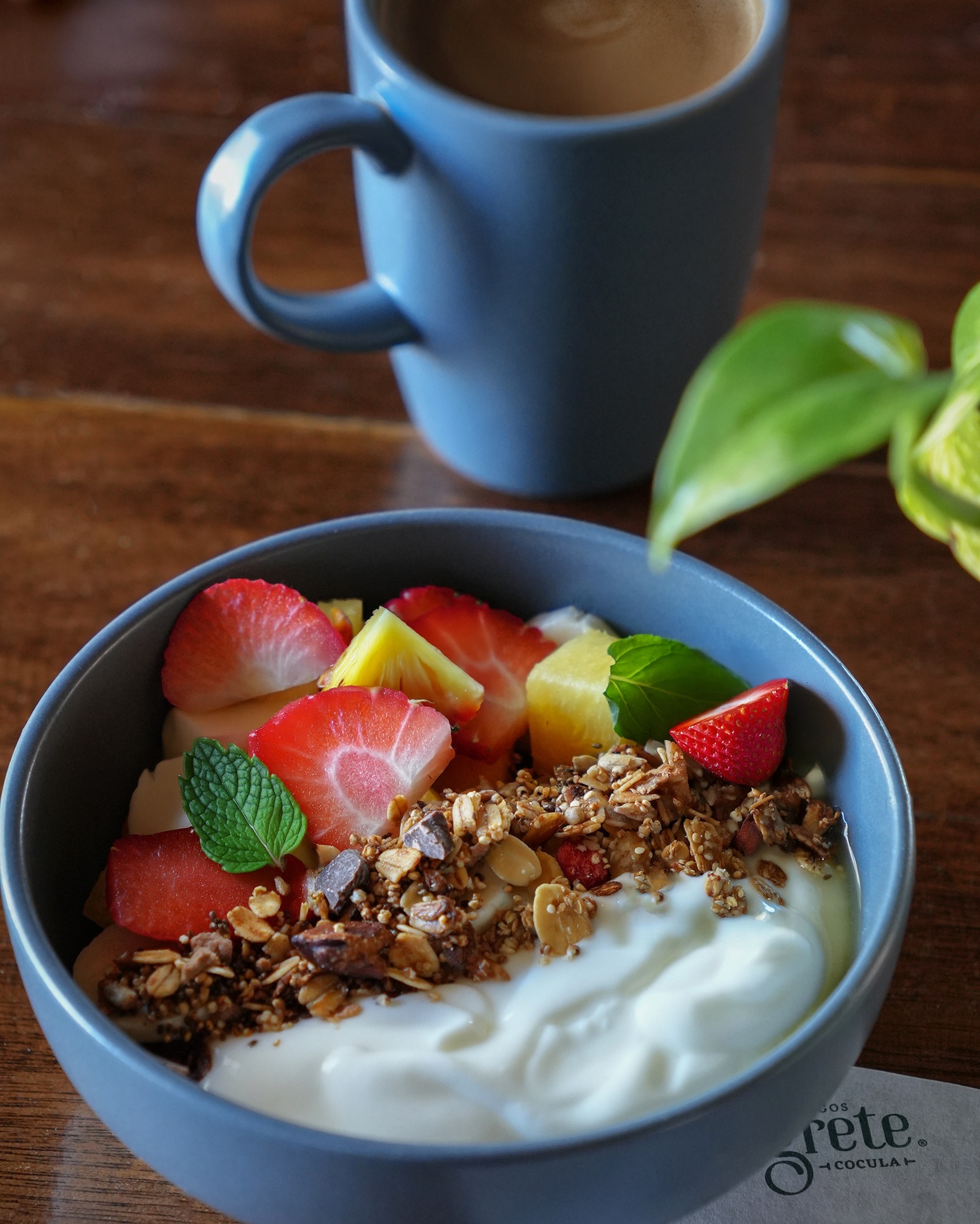 Negrete Cocula image 2