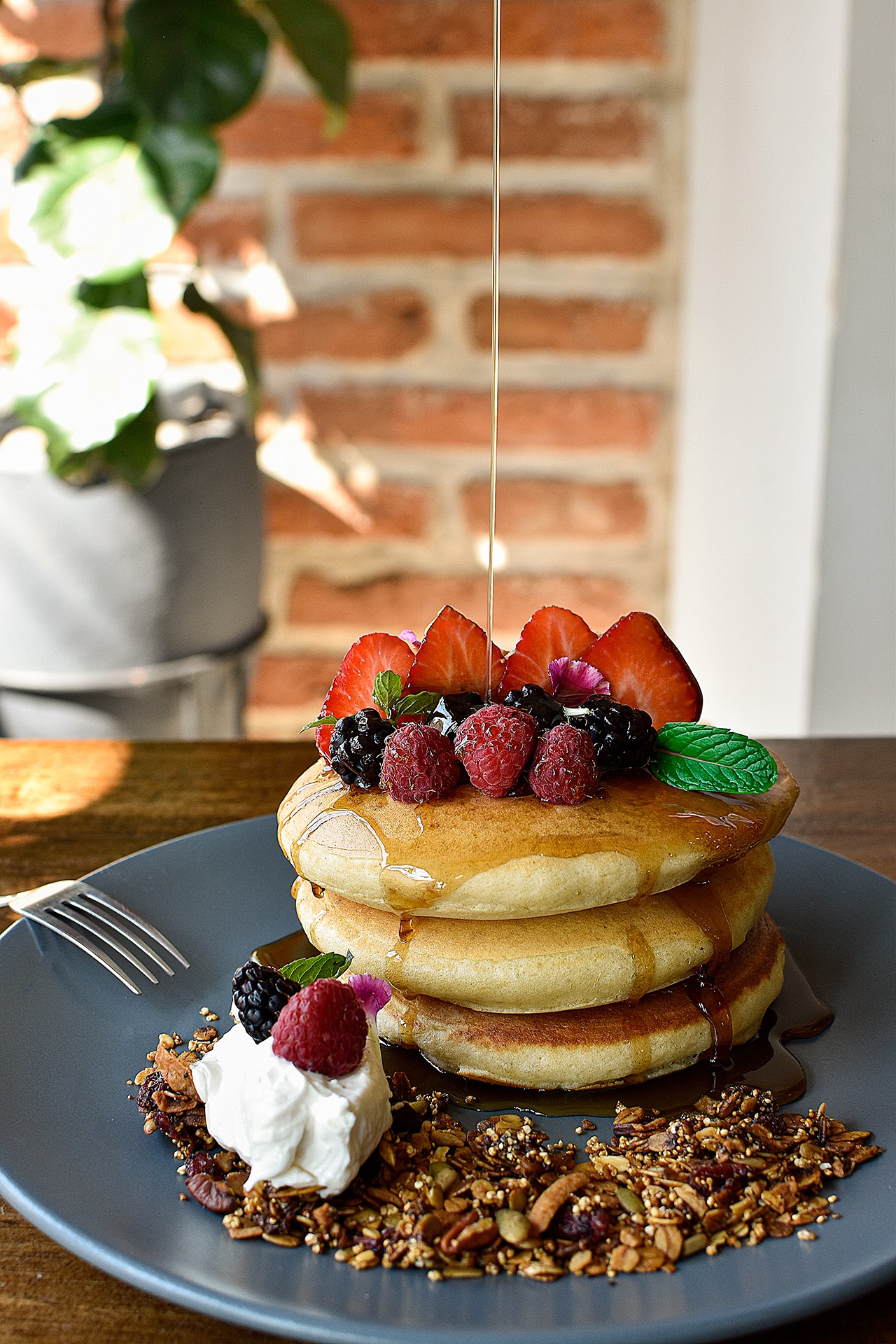 Negrete Cocula image 5