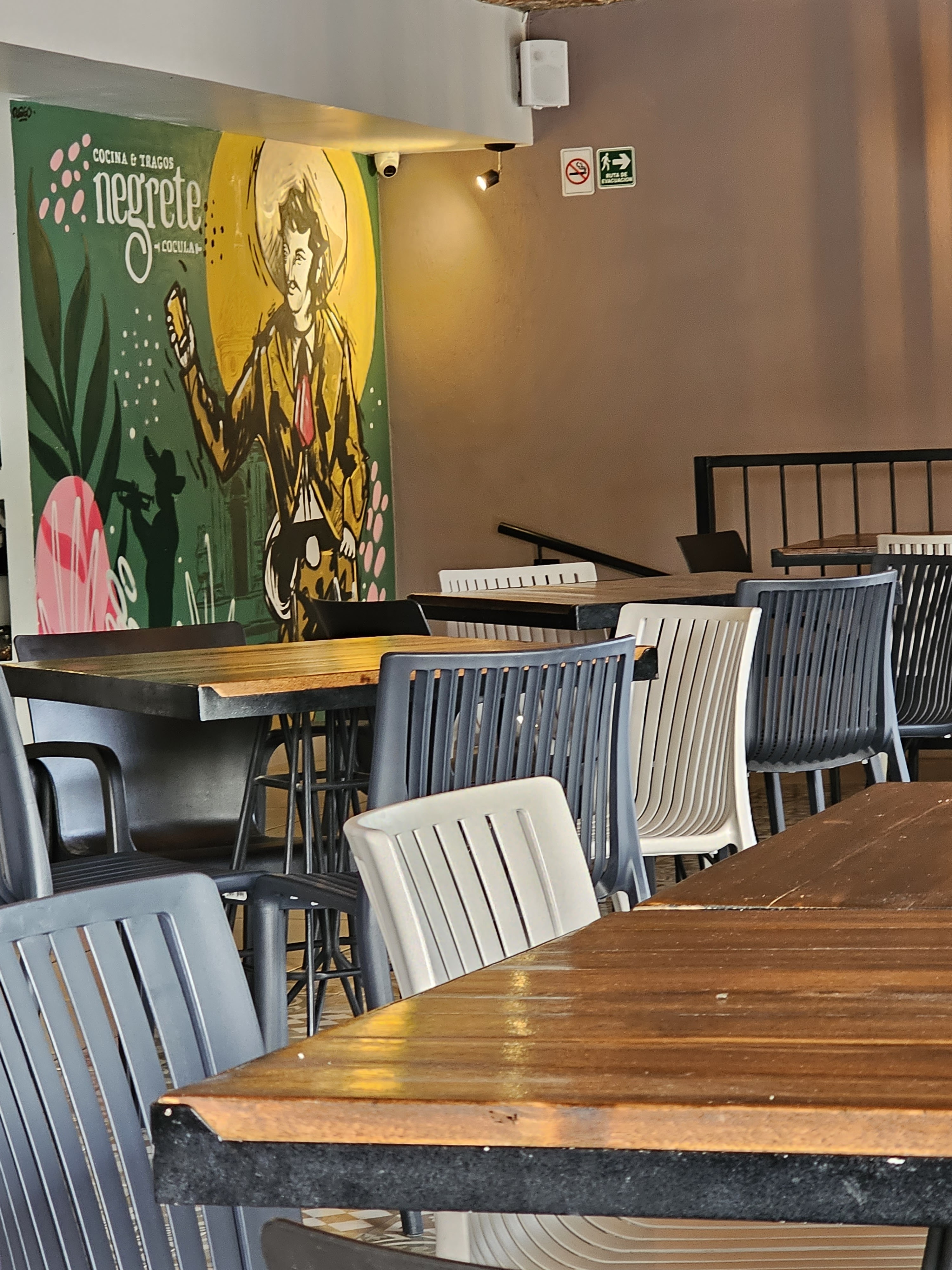 Negrete Cocula image 9