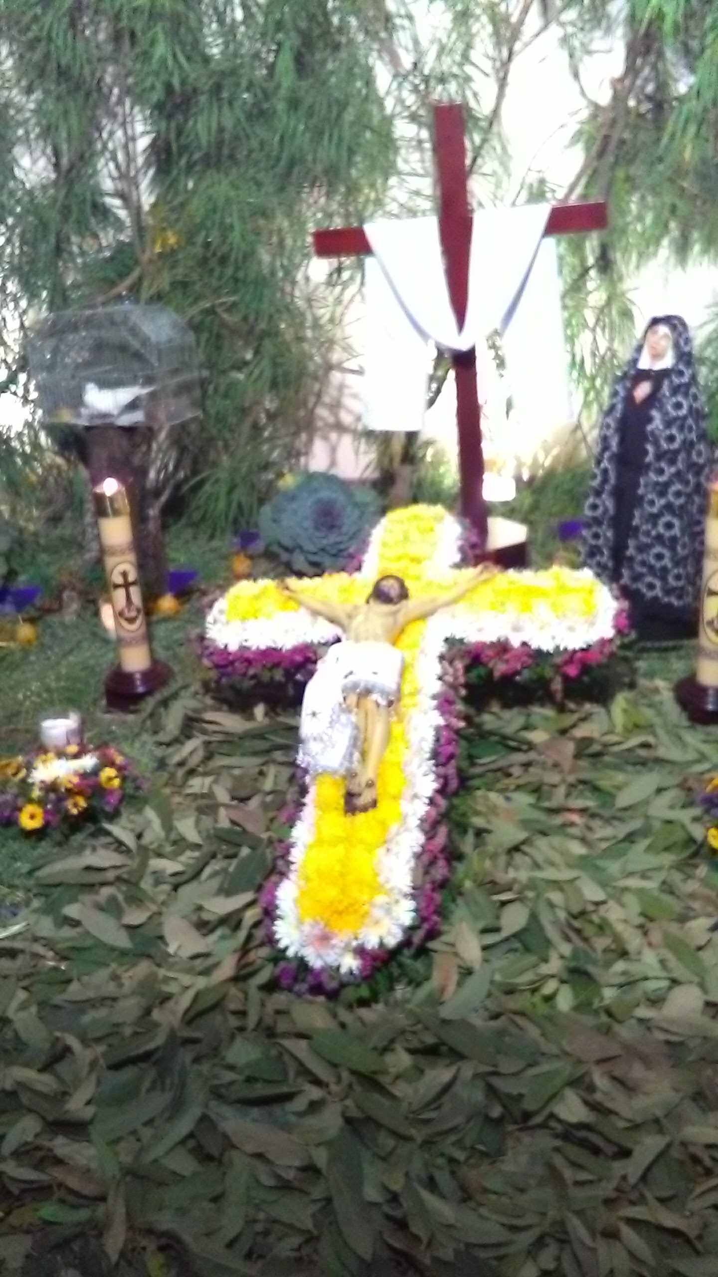 LONCHERIA 5 DE MAYO image 7