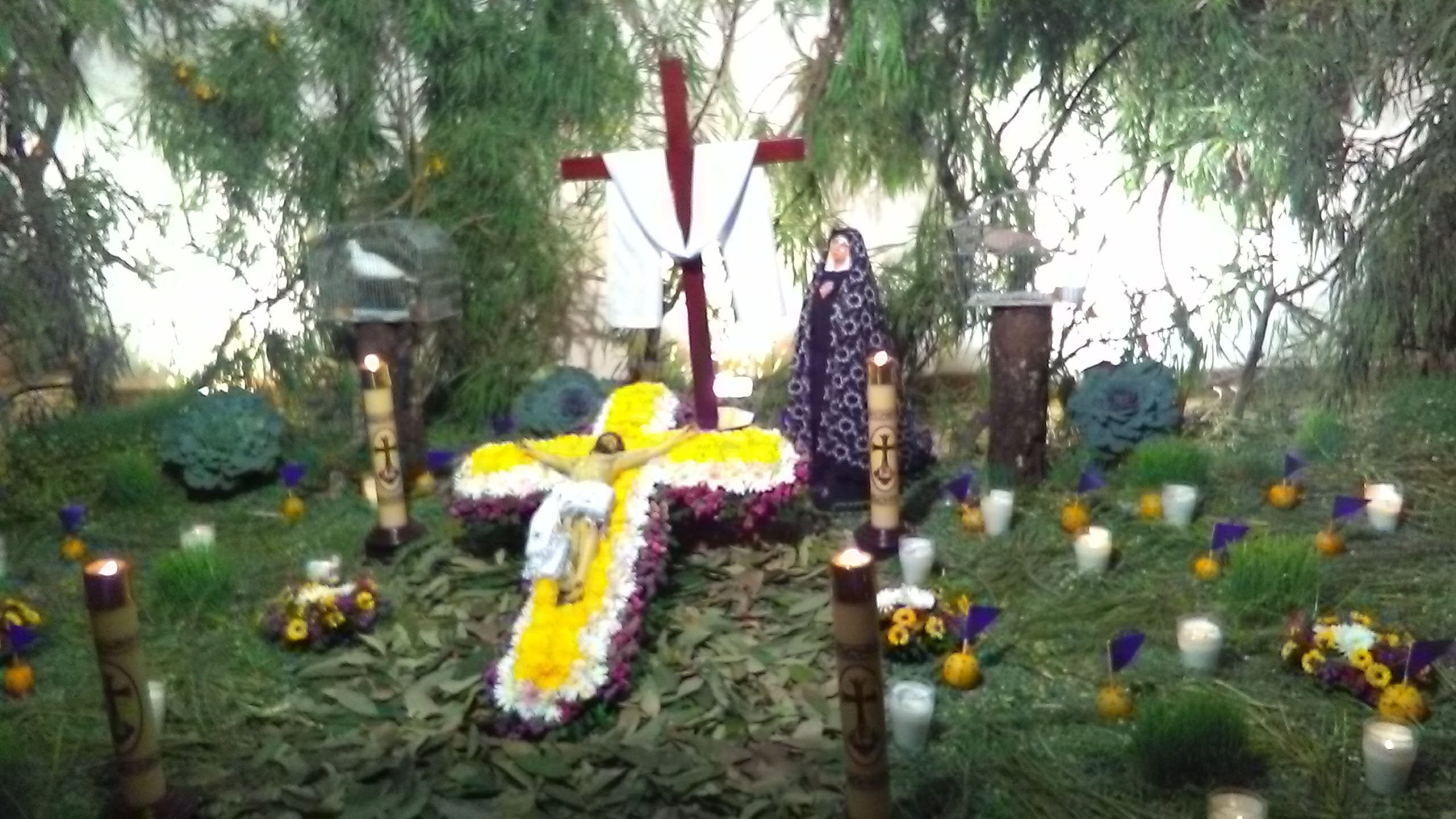 LONCHERIA 5 DE MAYO image 10