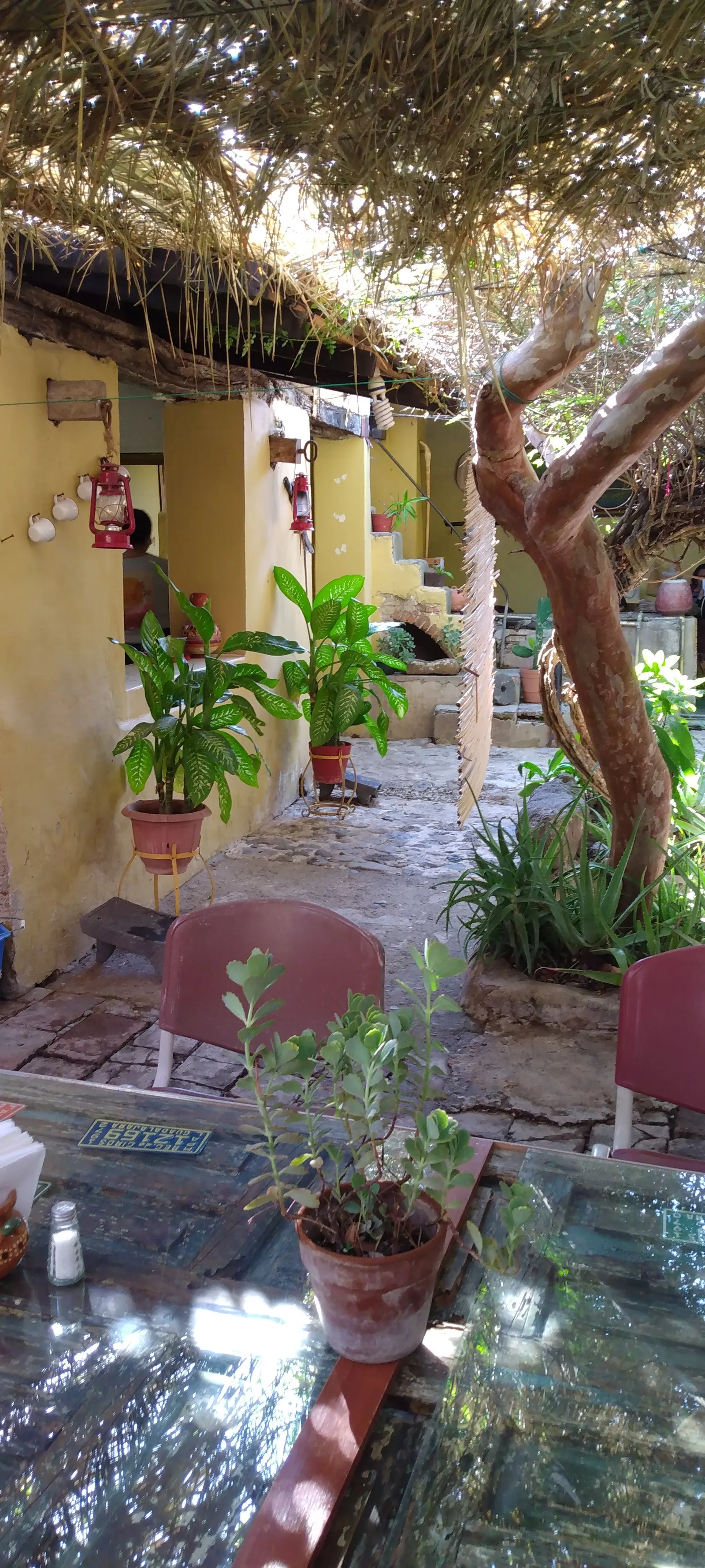 EL ZAGUAN image 8