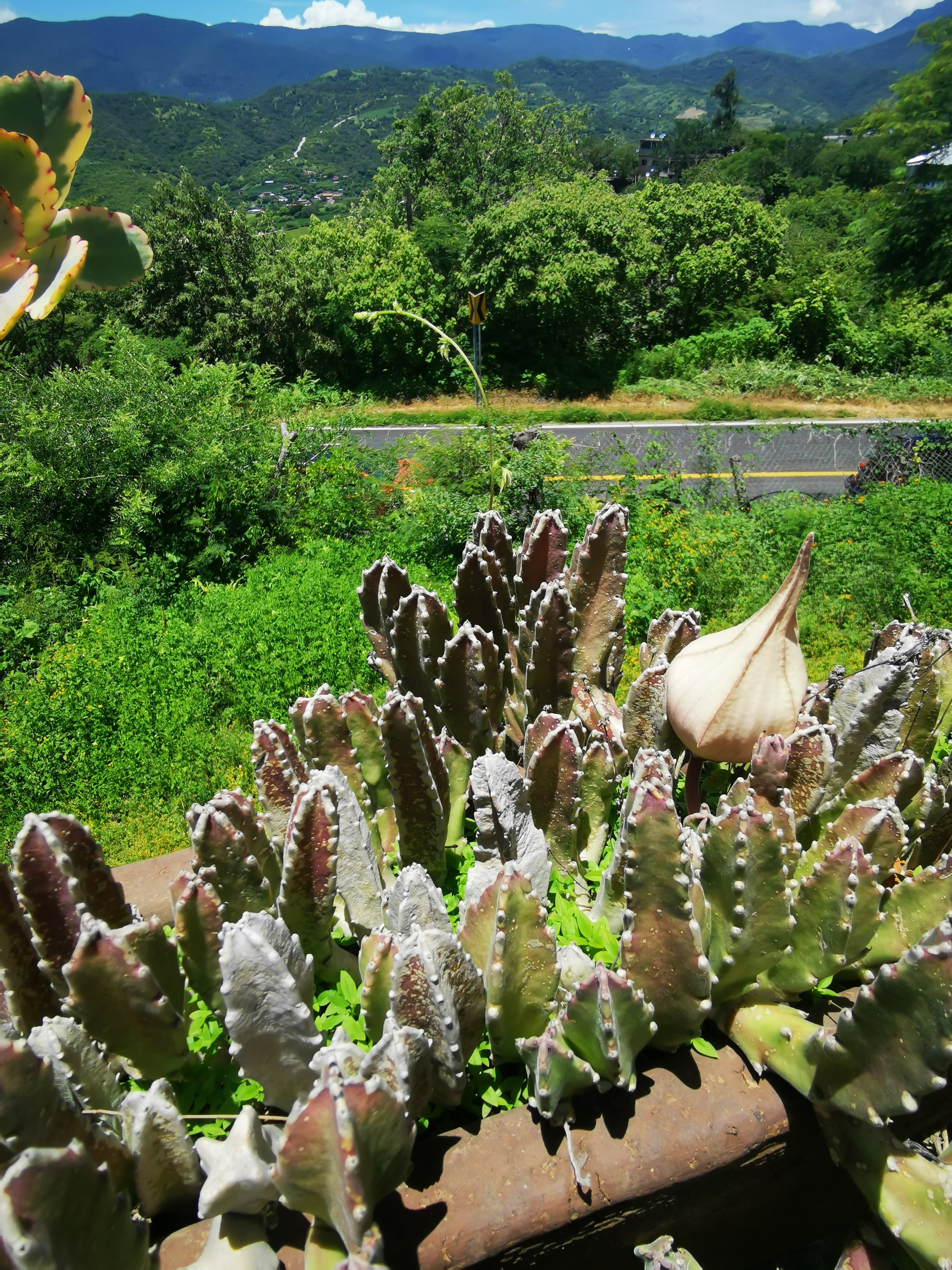 Hotel Campestre Los Adobes image 10