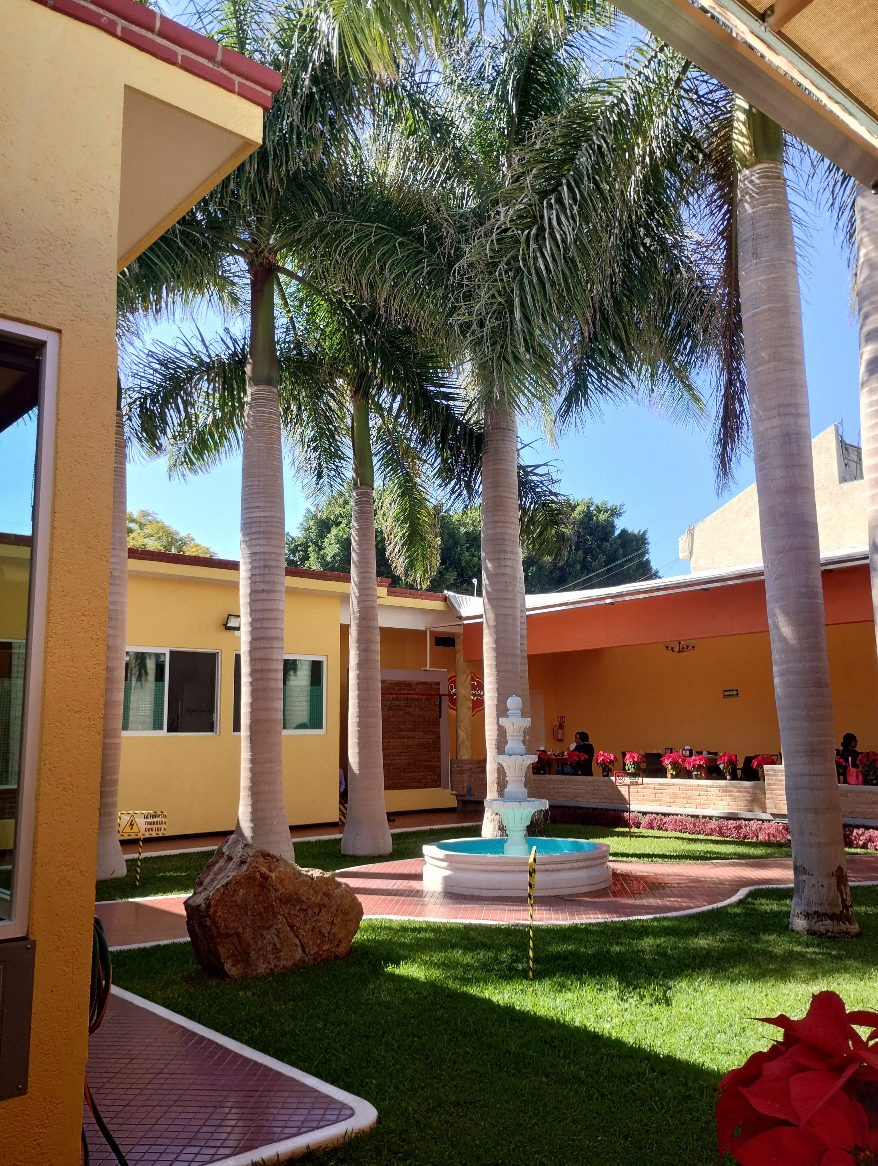 Jacarandas Desayunos & Café image 3