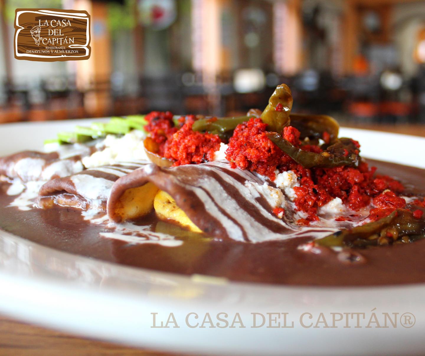 The House of the Captain image 6