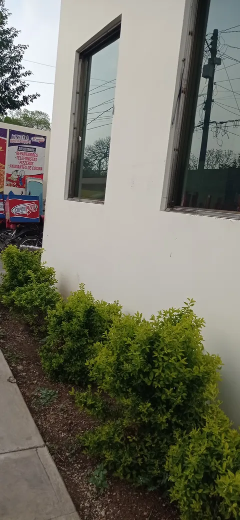 Superpizza image 5
