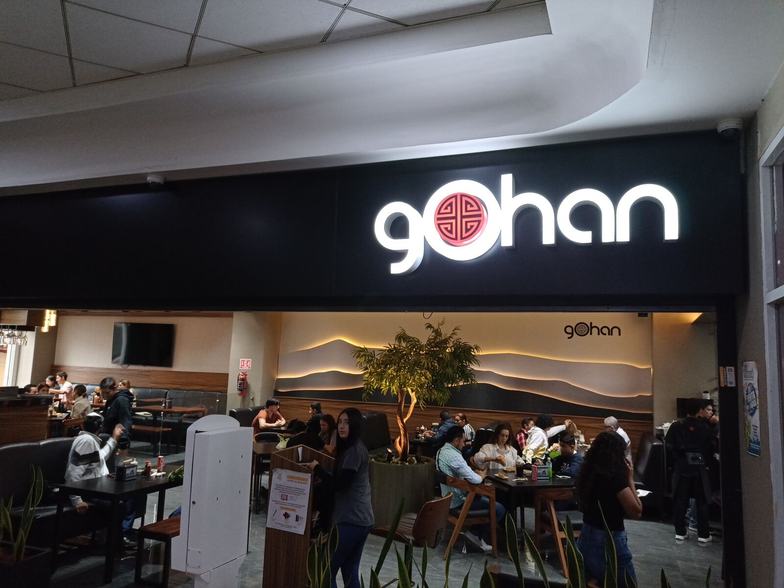 Gohan image 10