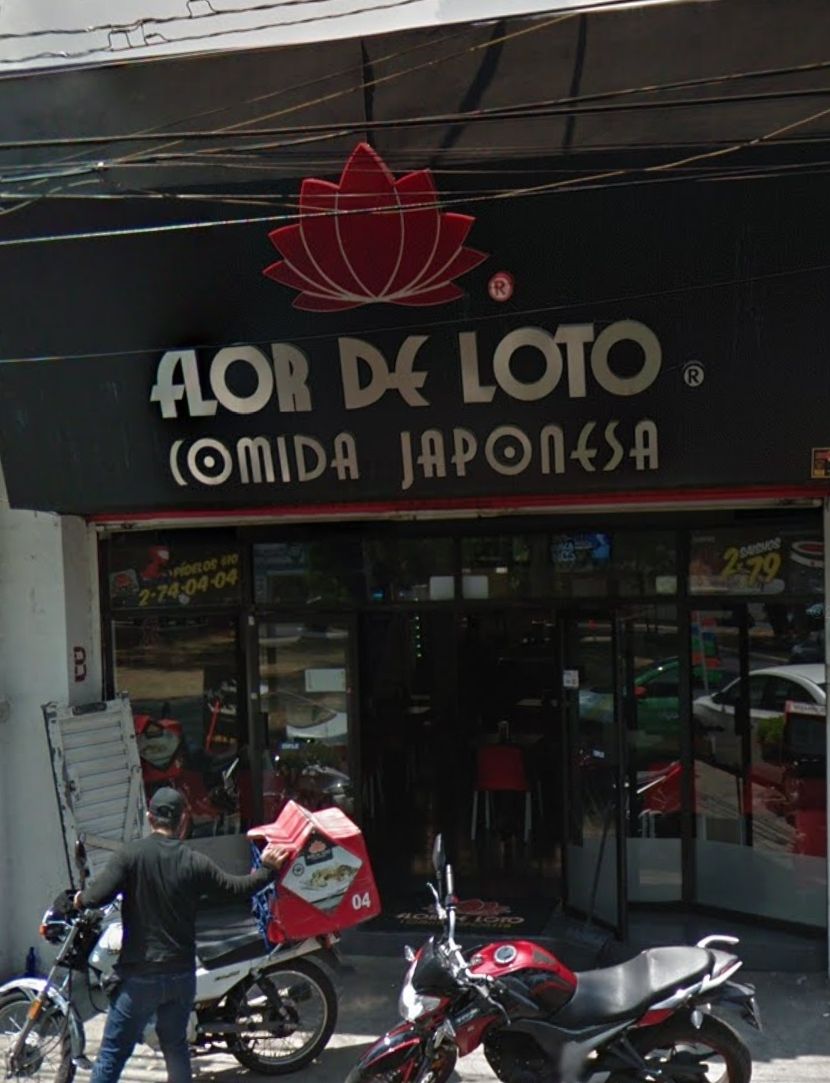 flor de loto image 1