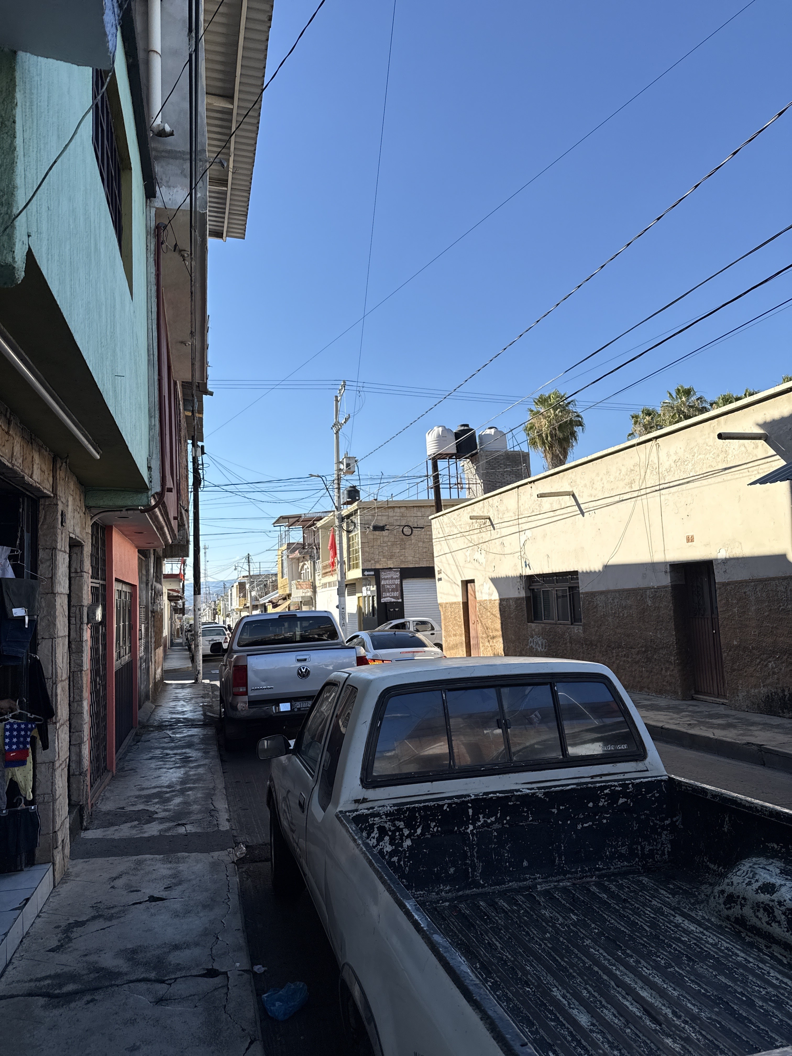 Burreteria Los Reyes image 1