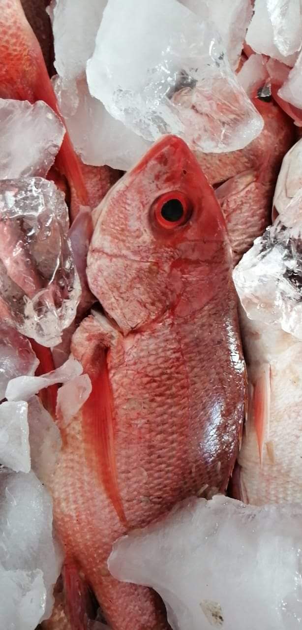 Mariscos el Cangrejo image 2