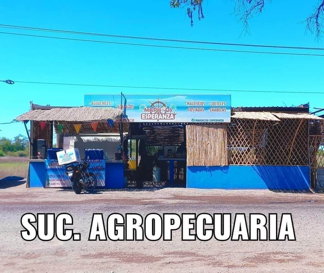 Mariscos Esperanza image 1