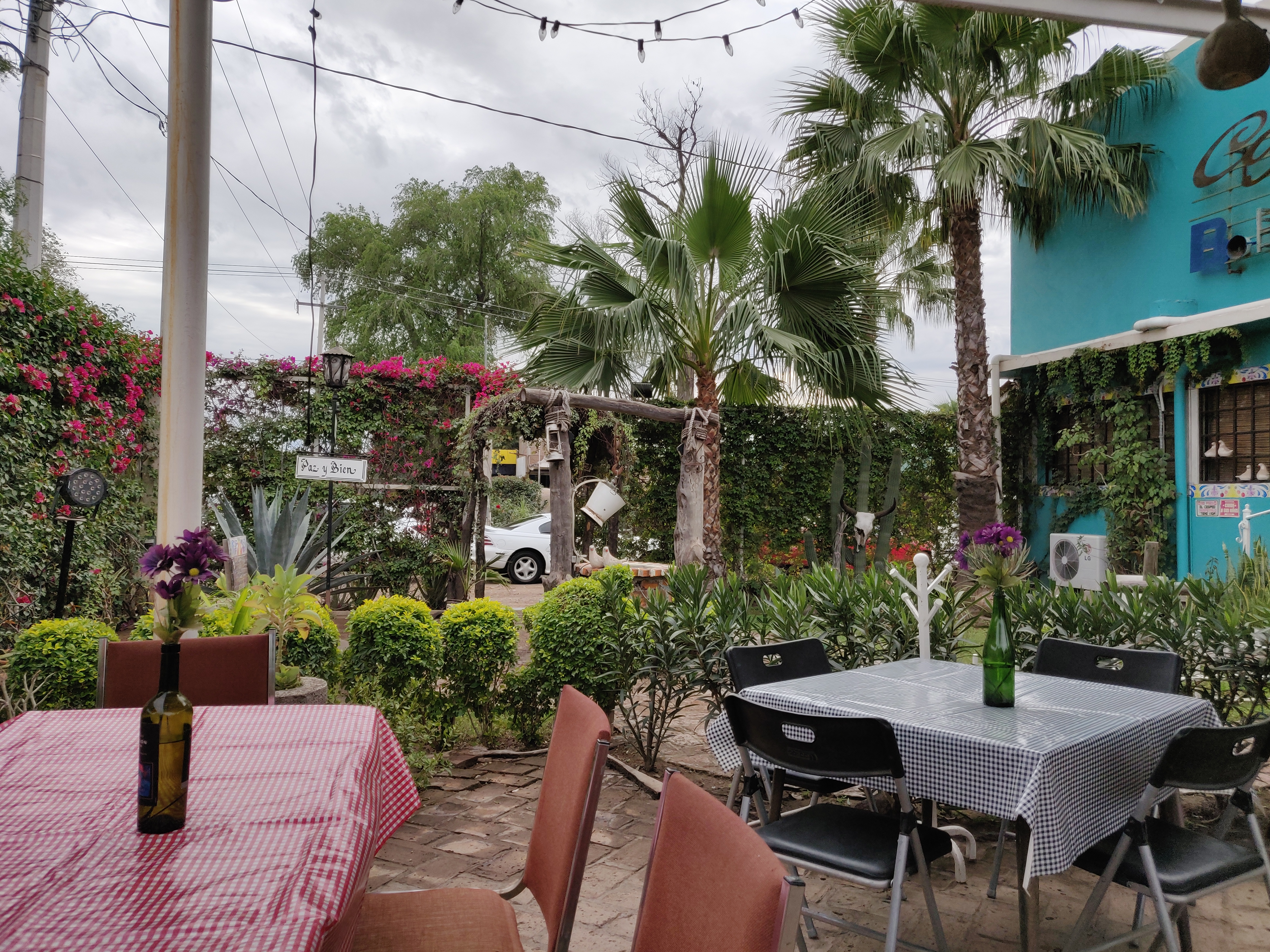 Cafe Bohemio Cocorit image 1