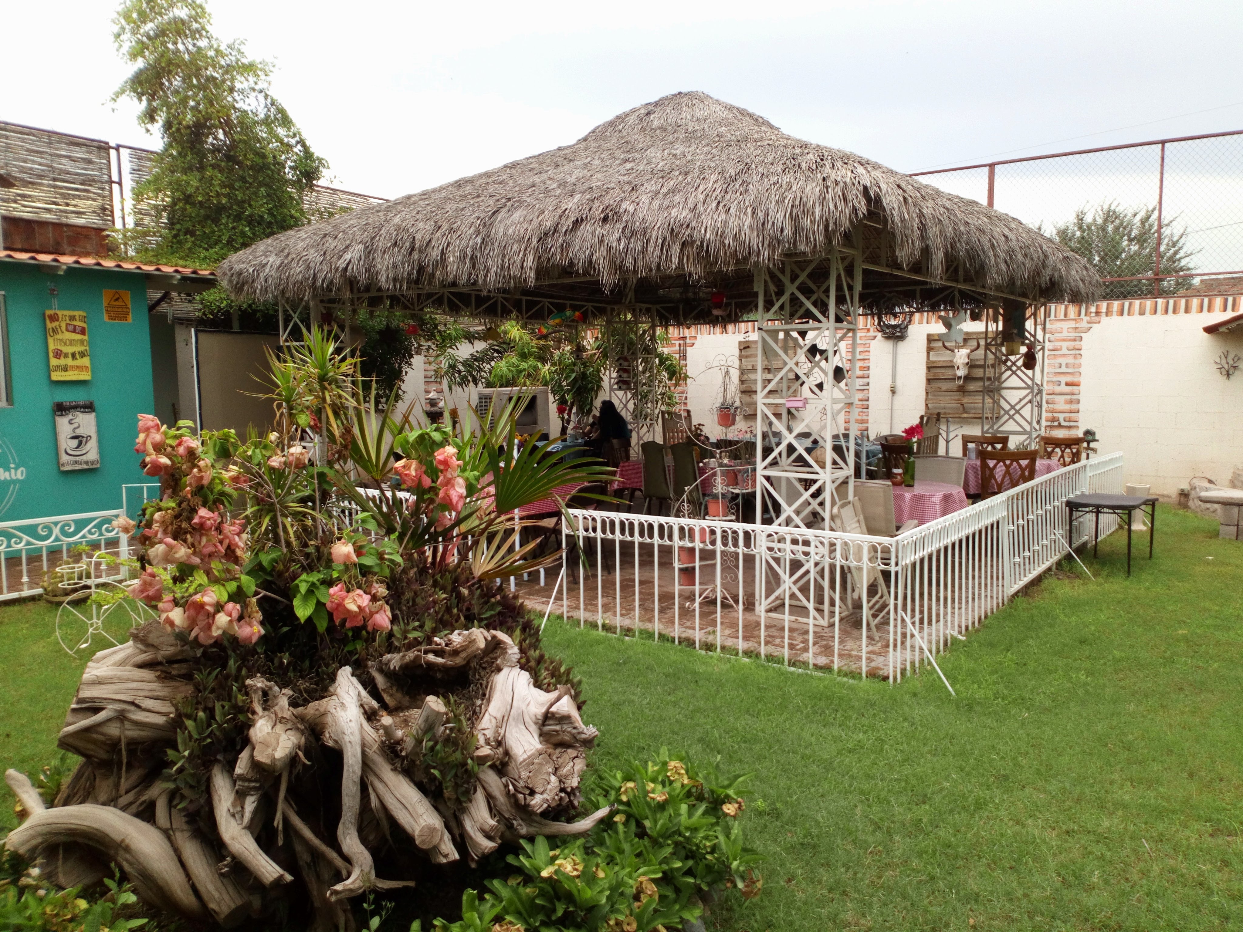 Cafe Bohemio Cocorit image 9