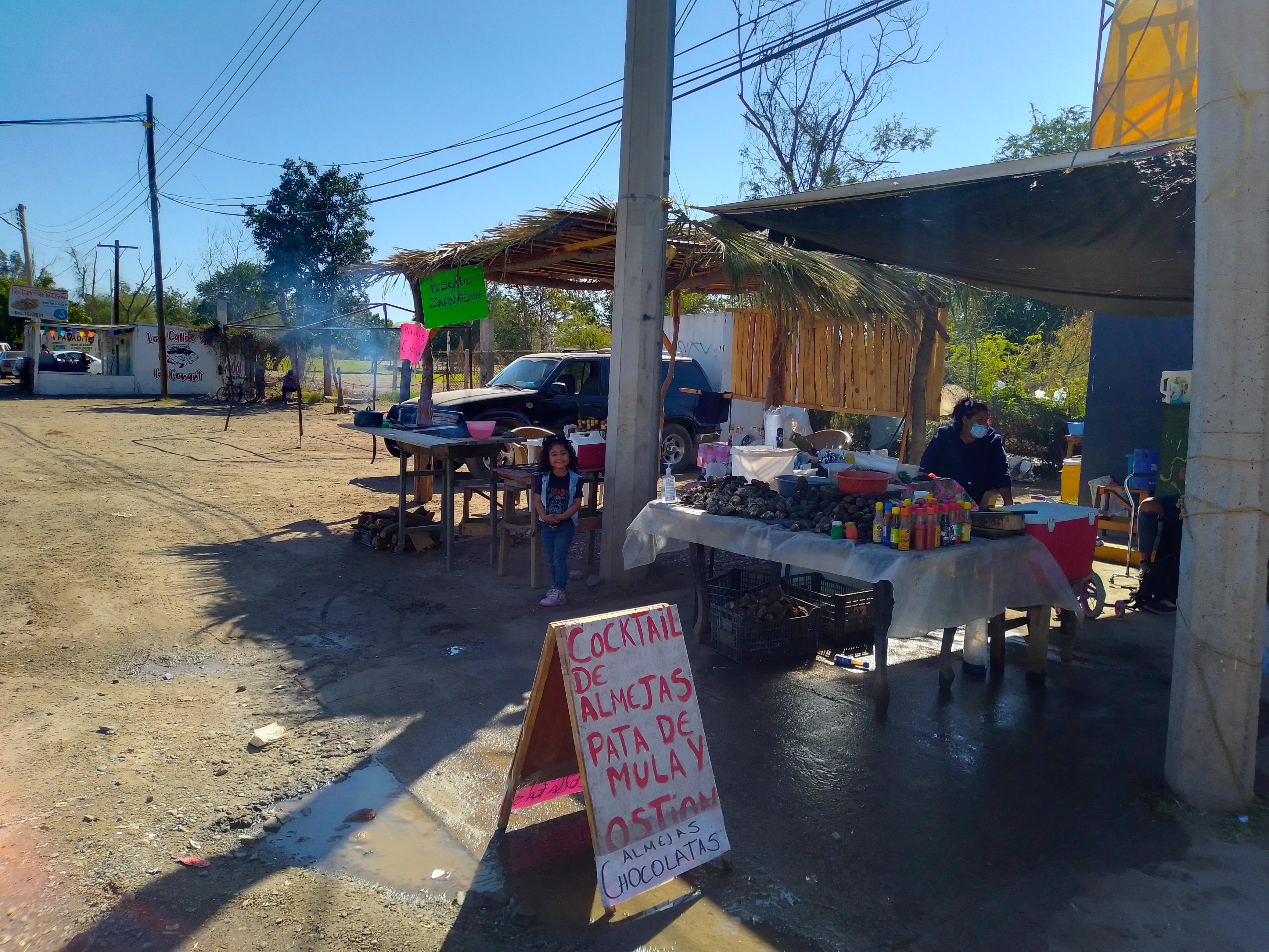 ALMEJAS EL CRUCERO DE ESPERANZA image 1